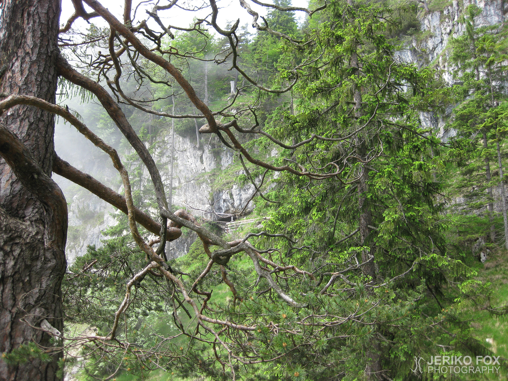 JFRM-2010-072