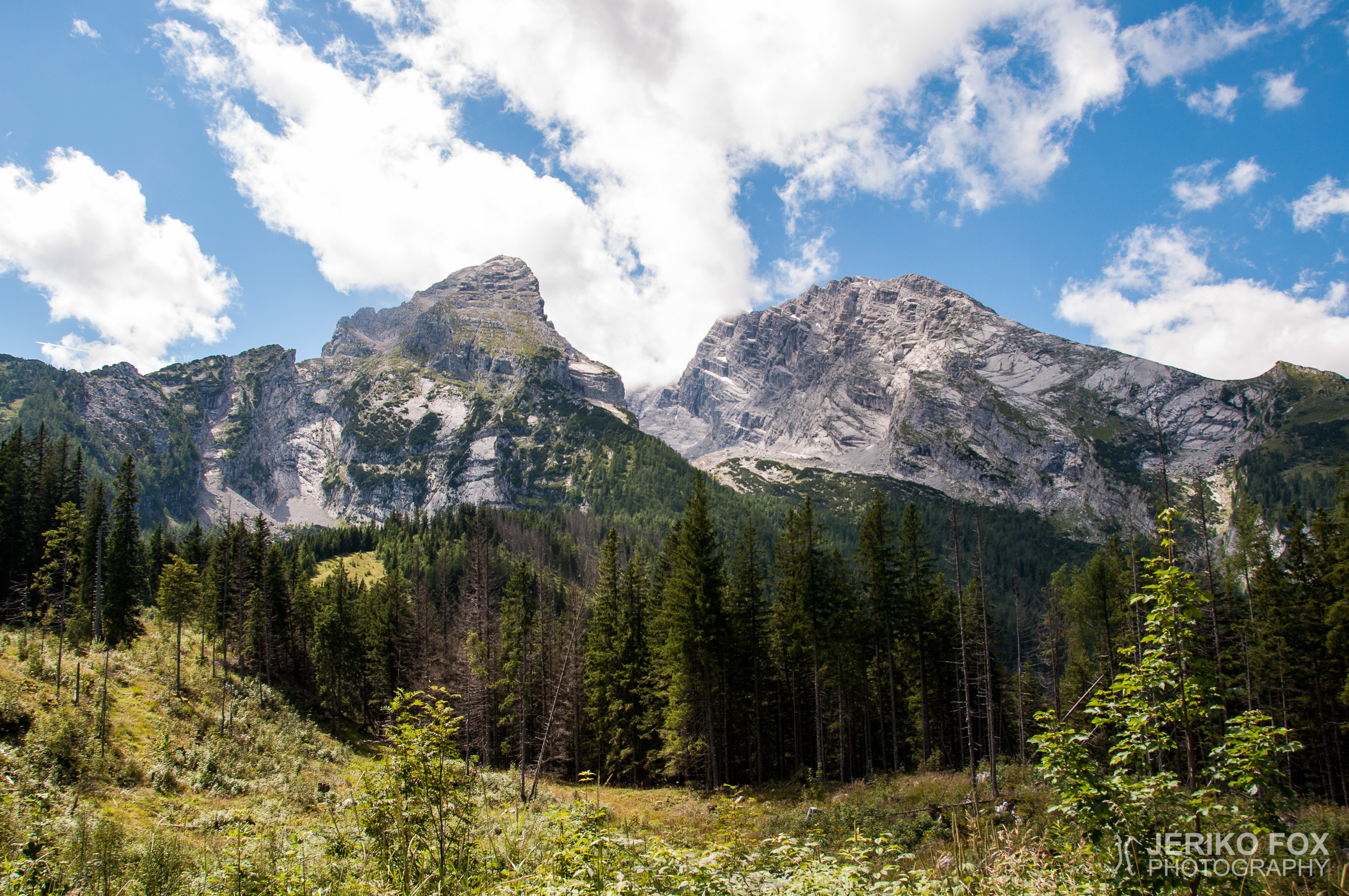 JFRM-2014-08-0173