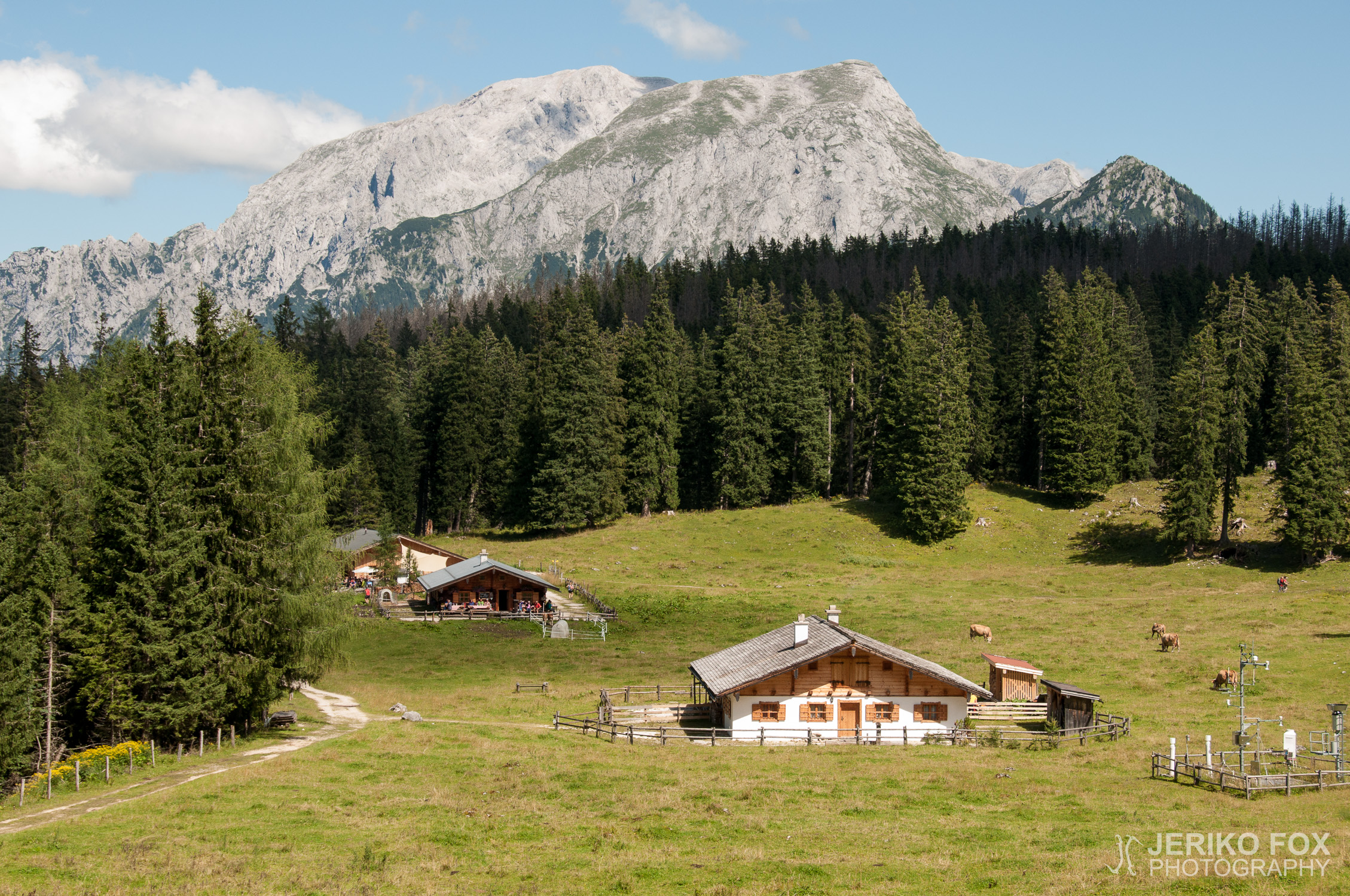JFRM-2014-08-0182