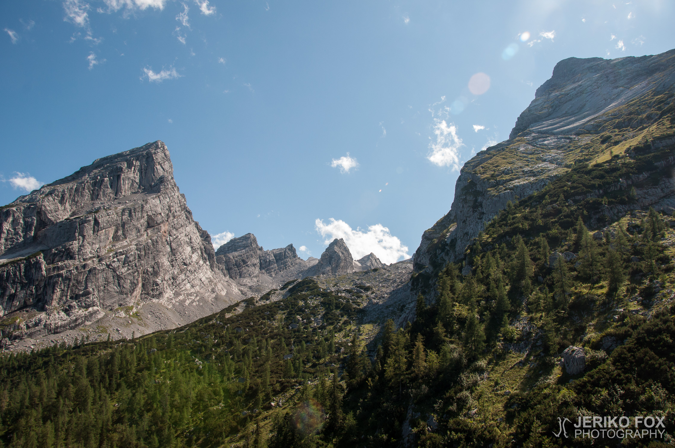 JFRM-2014-08-0185