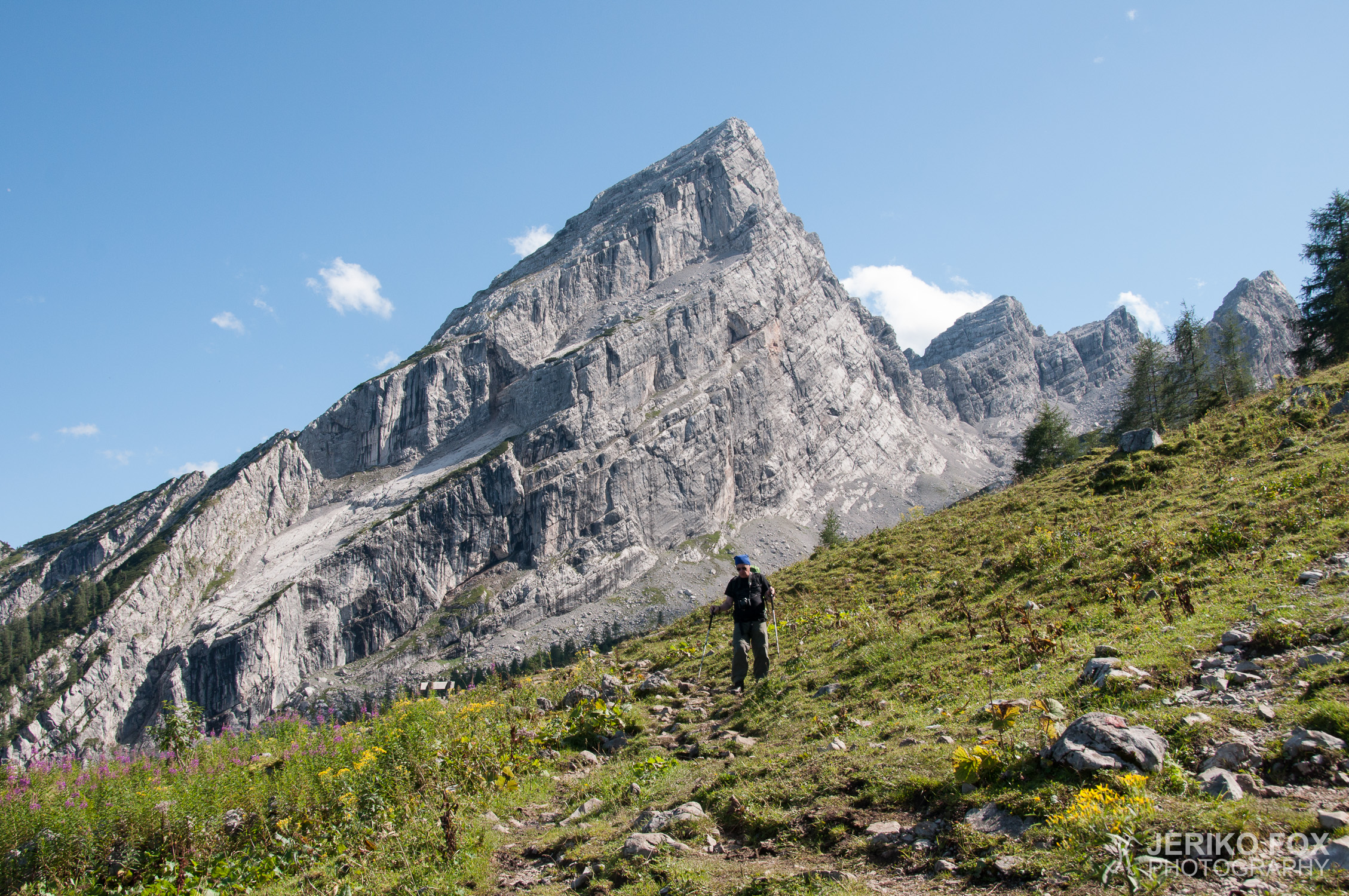 JFRM-2014-08-0188