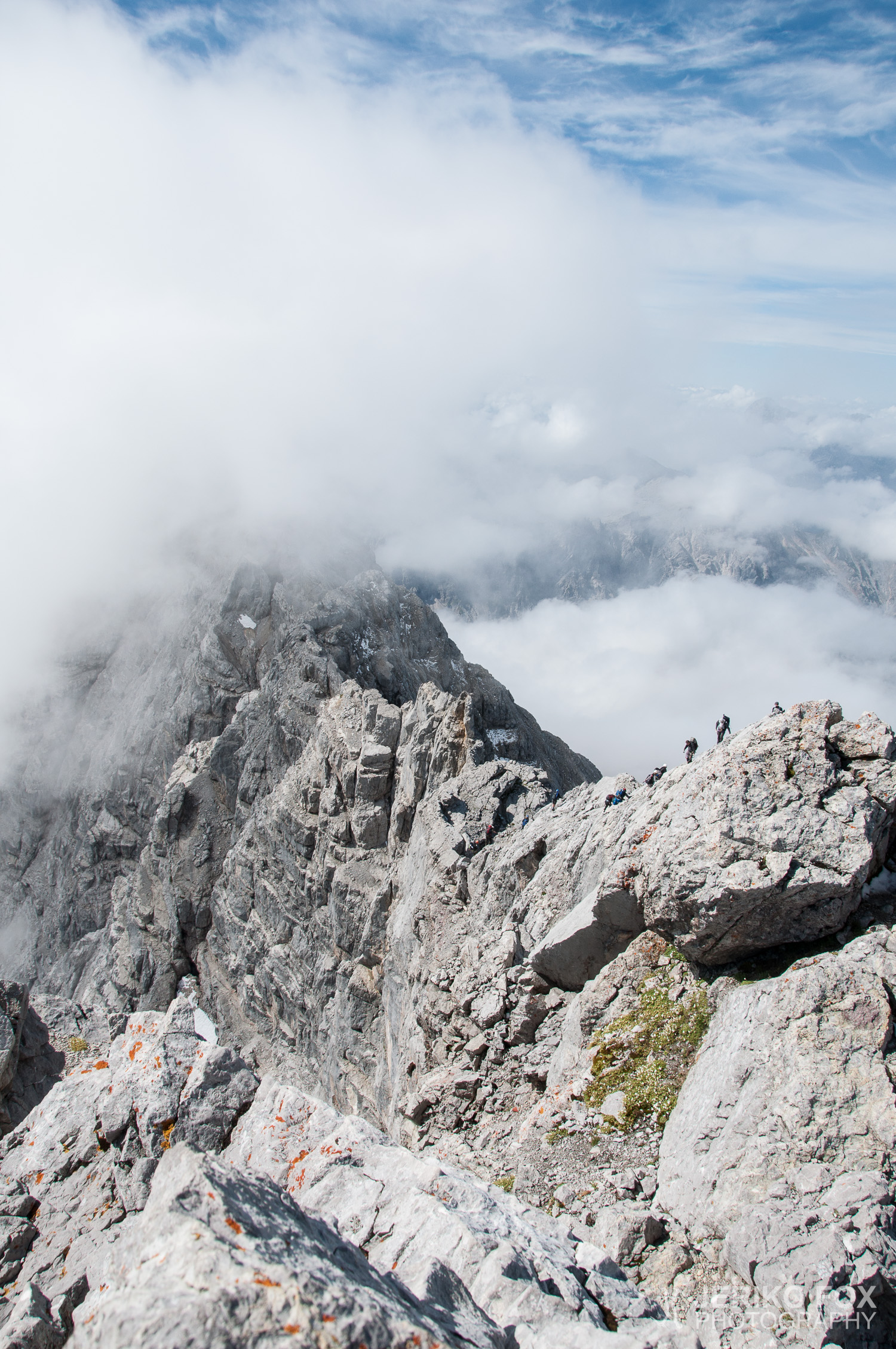 JFRM-2014-08-0238