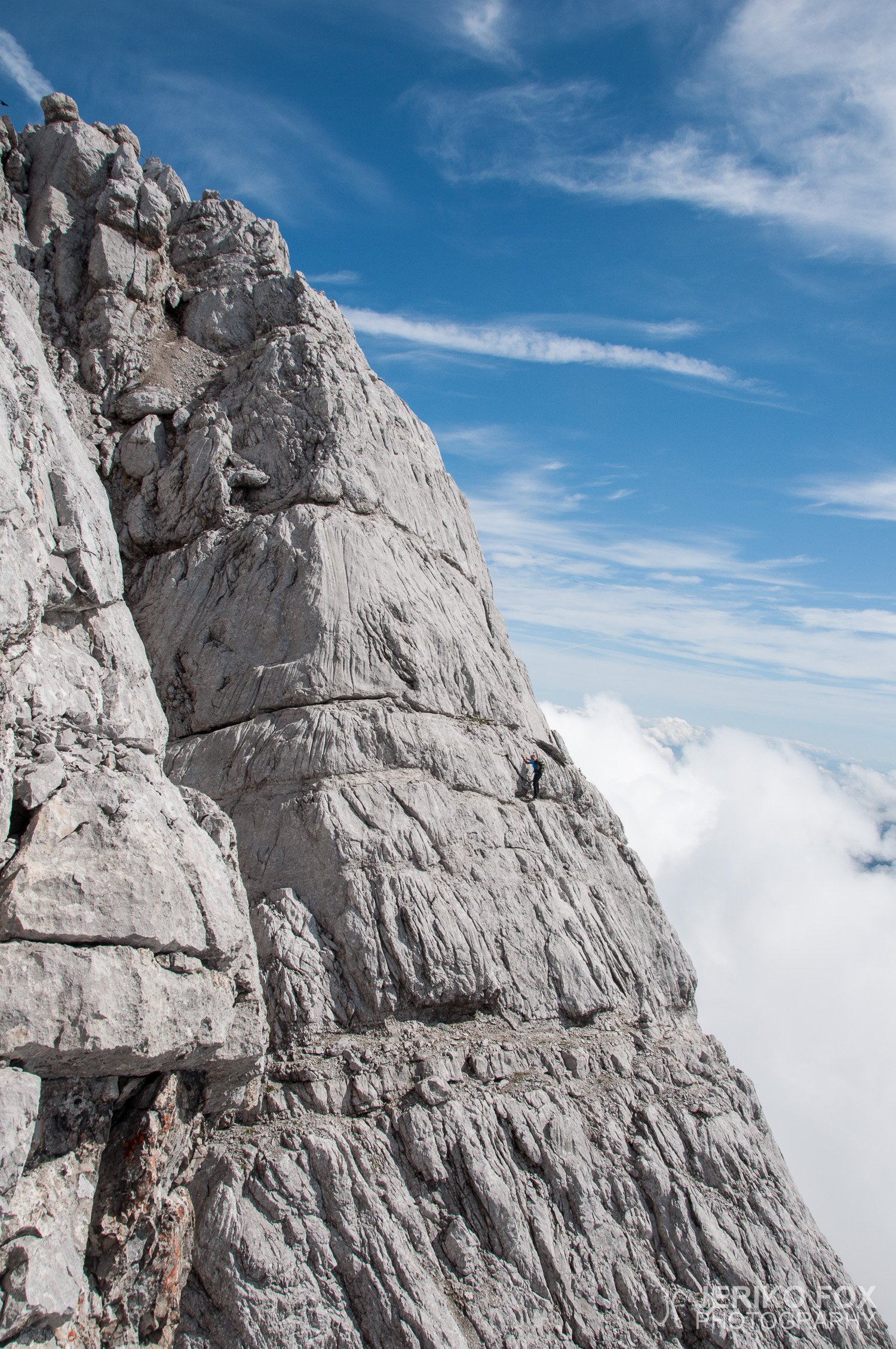 JFRM-2014-08-0241