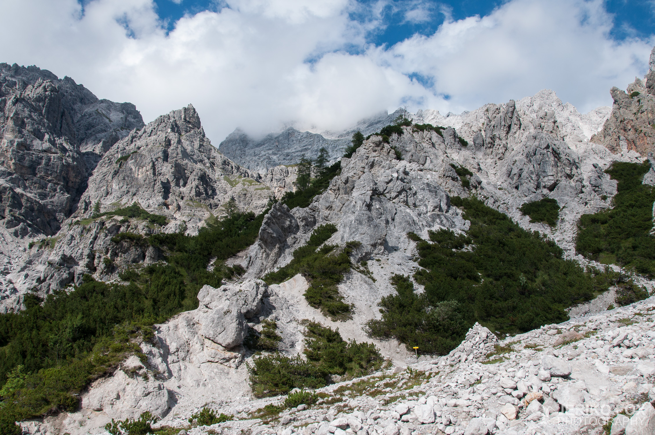 JFRM-2014-08-0296