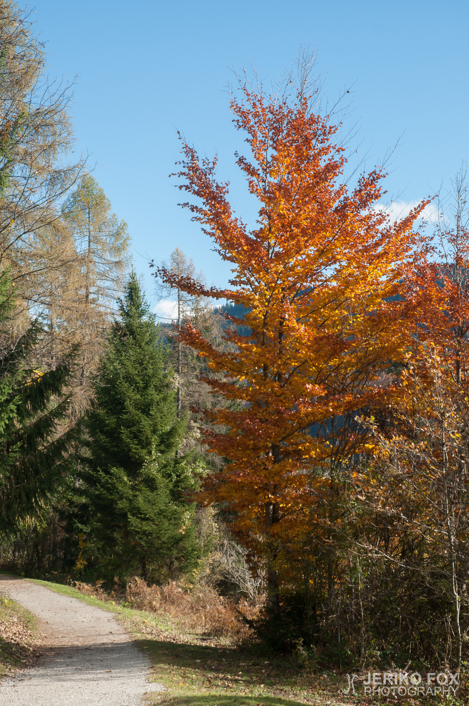 JFRM-2014-11-0929