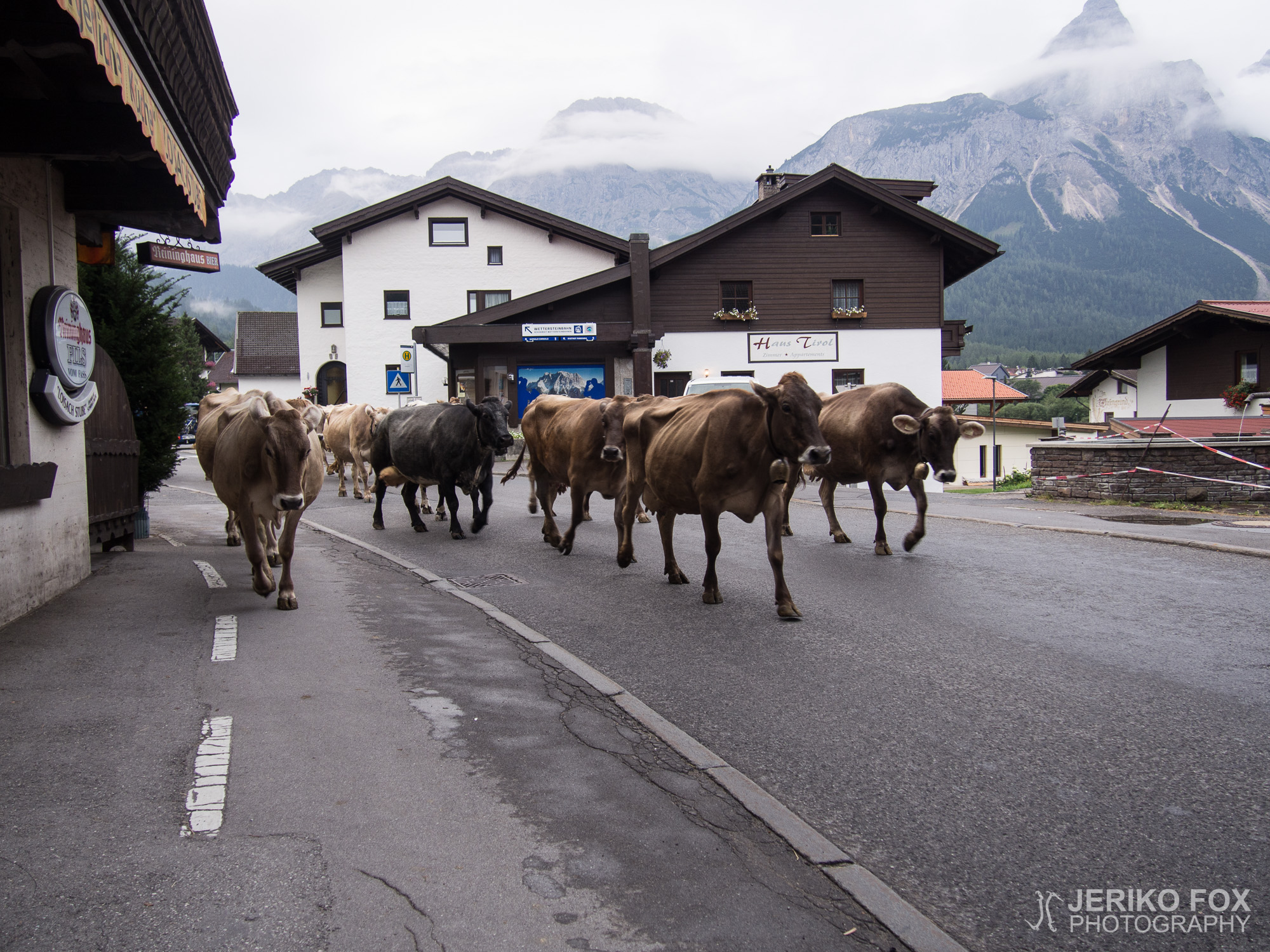 JFRM-2015-08-0074