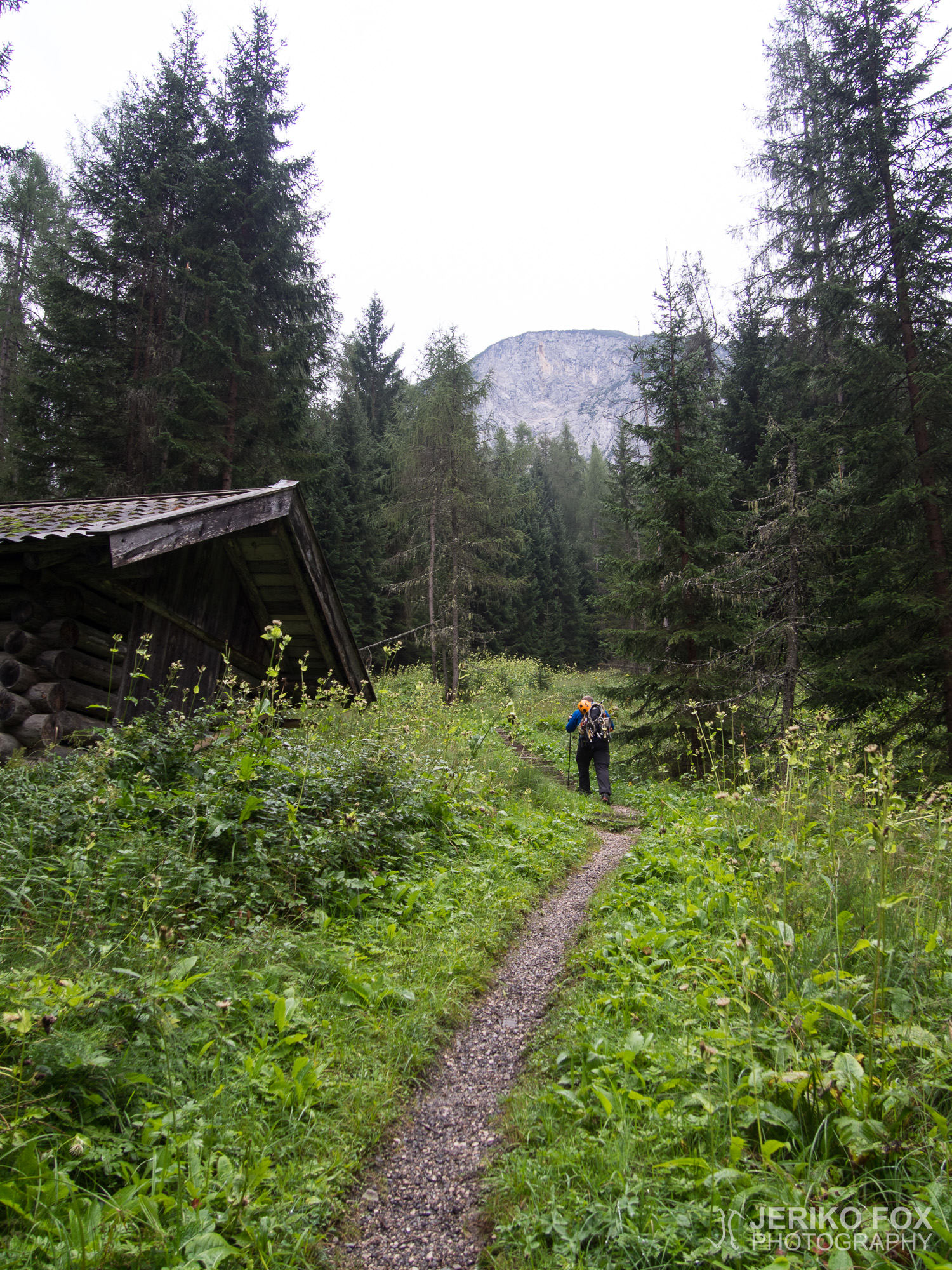 JFRM-2015-08-0077