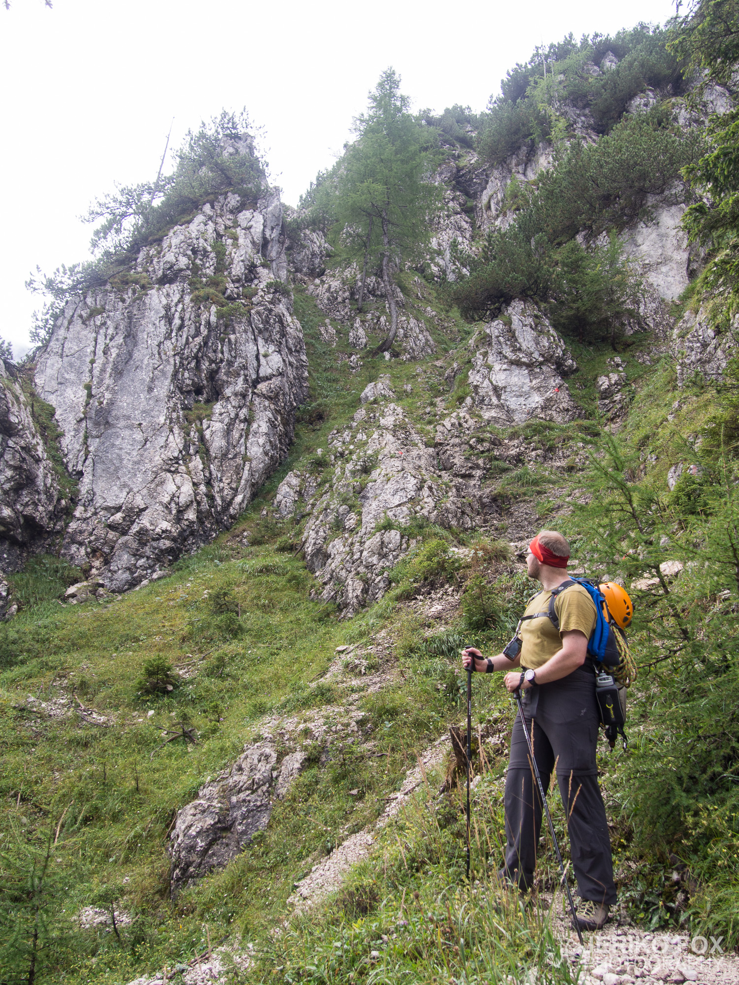 JFRM-2015-08-0082