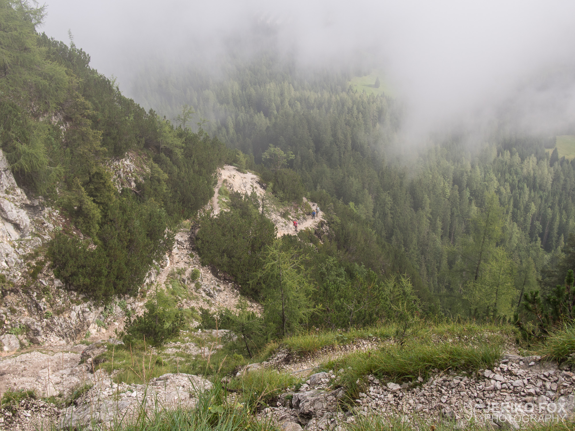 JFRM-2015-08-0087