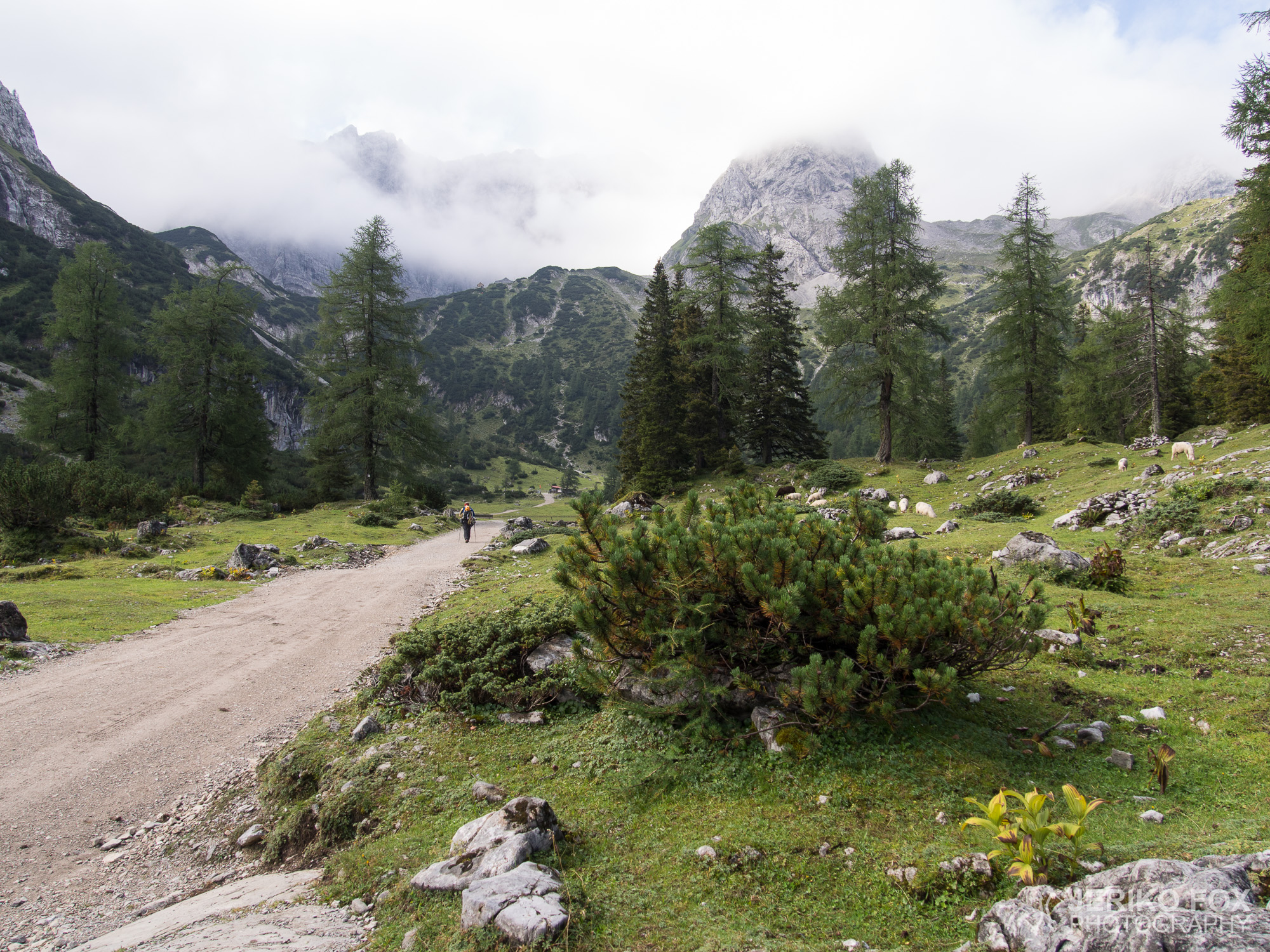 JFRM-2015-08-0096