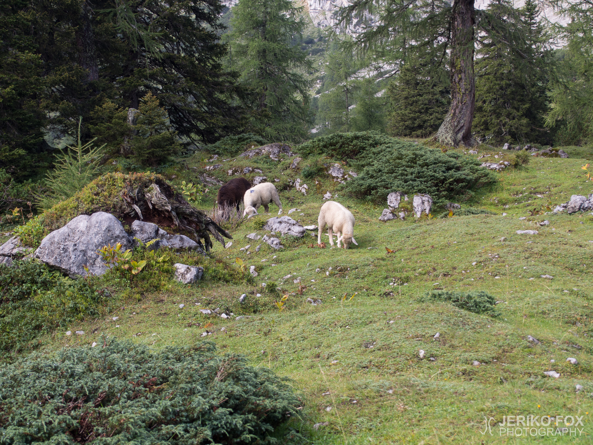 JFRM-2015-08-0100