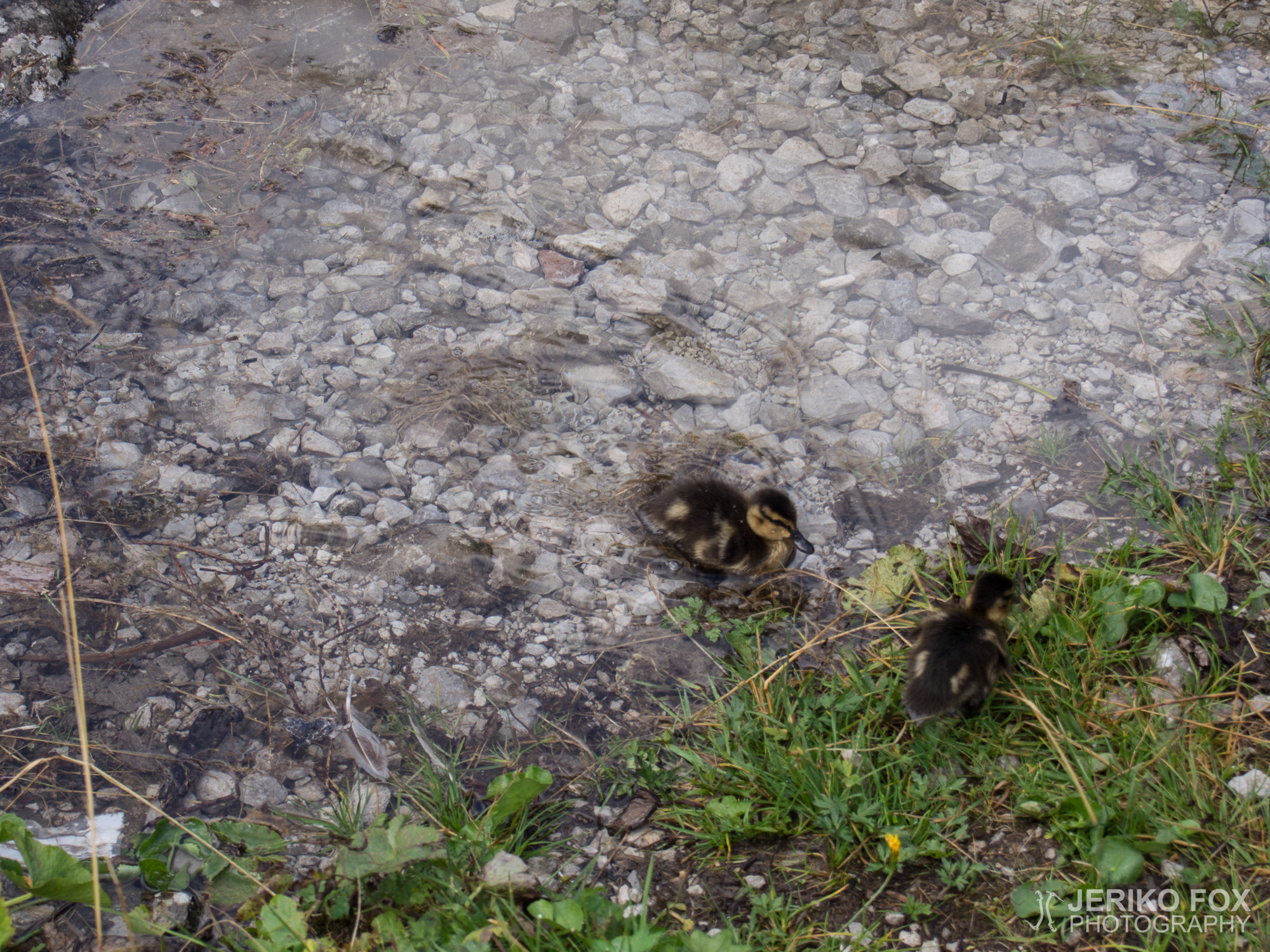 JFRM-2015-08-0104