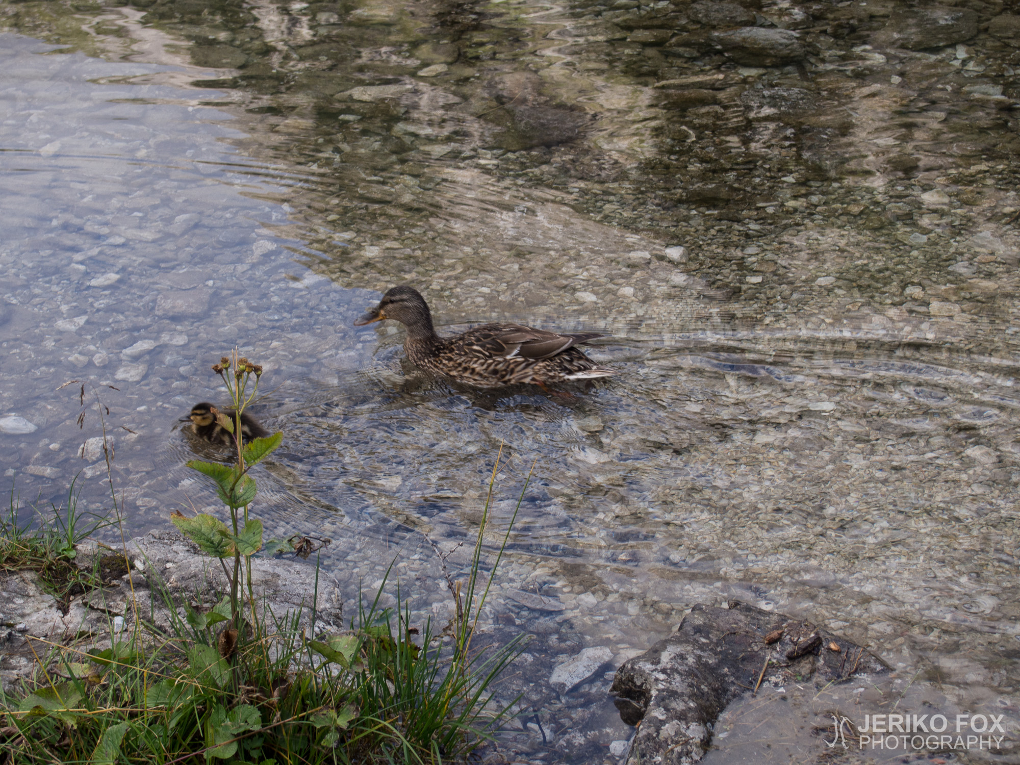 JFRM-2015-08-0105