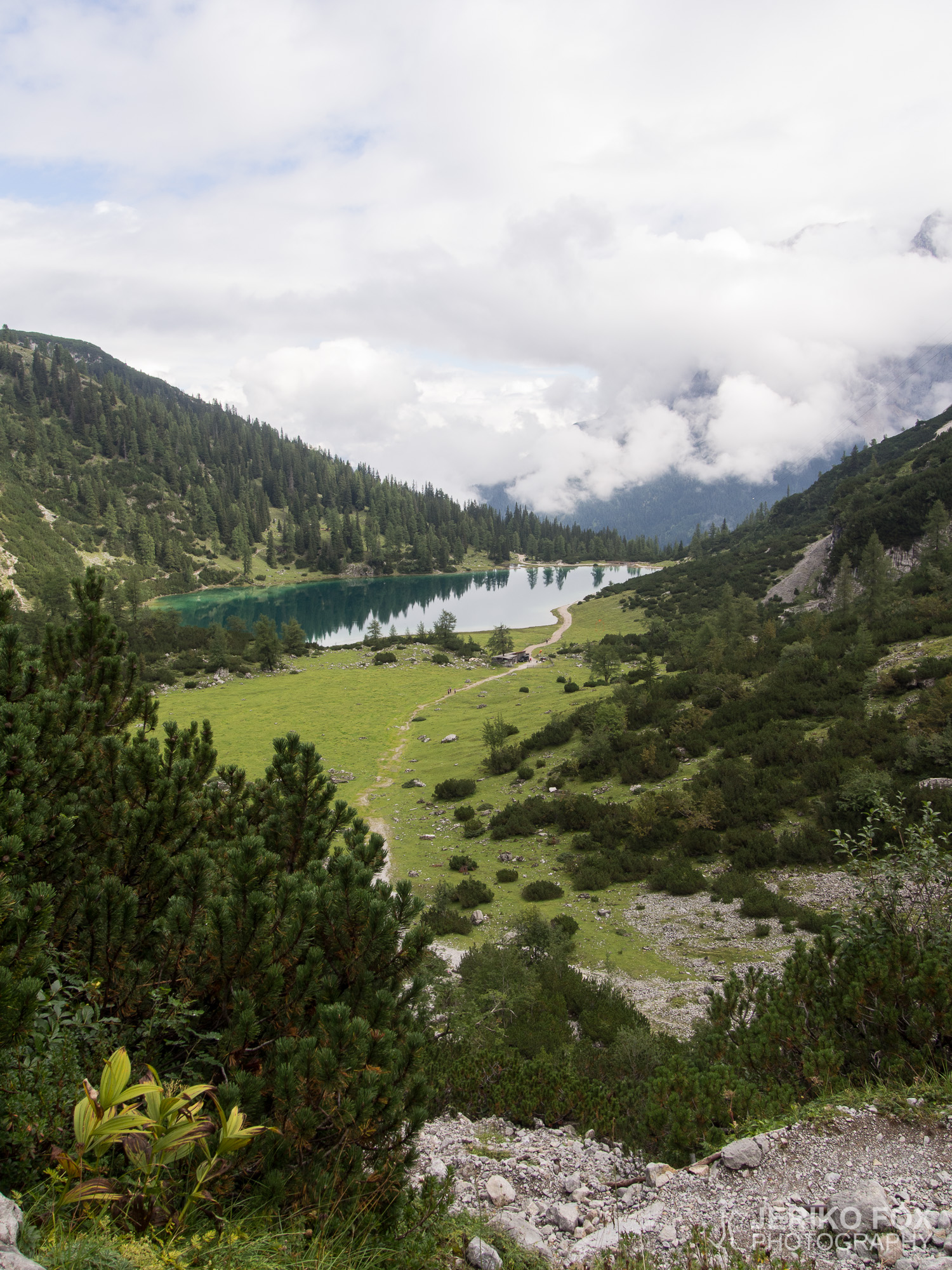 JFRM-2015-08-0118