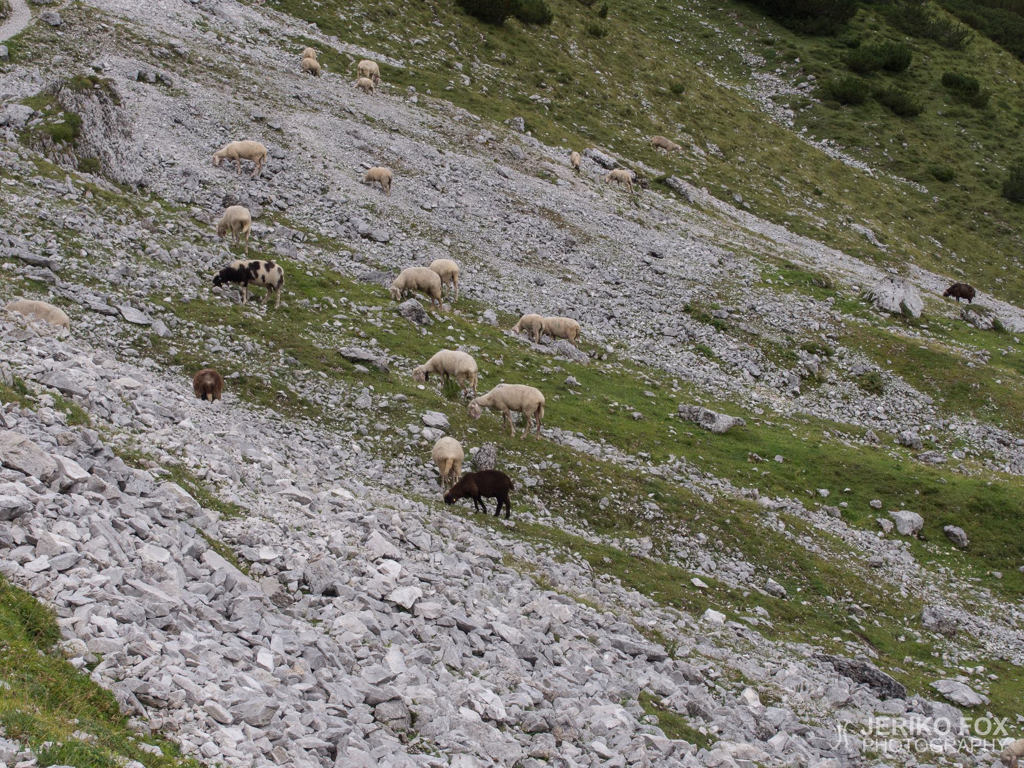 JFRM-2015-08-0127