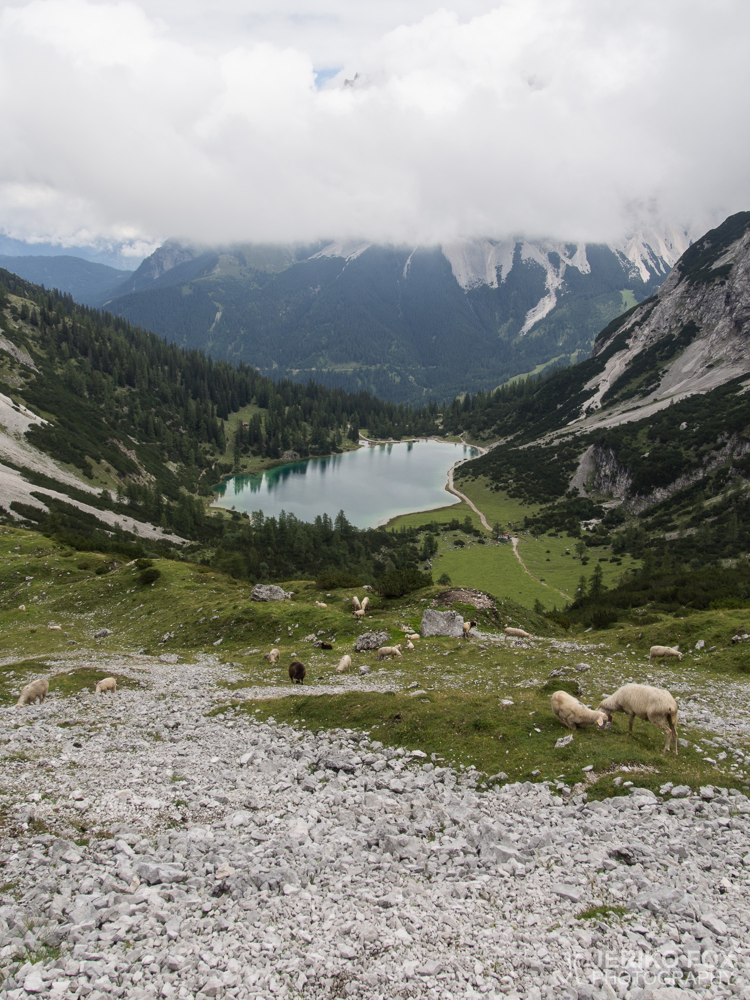 JFRM-2015-08-0129