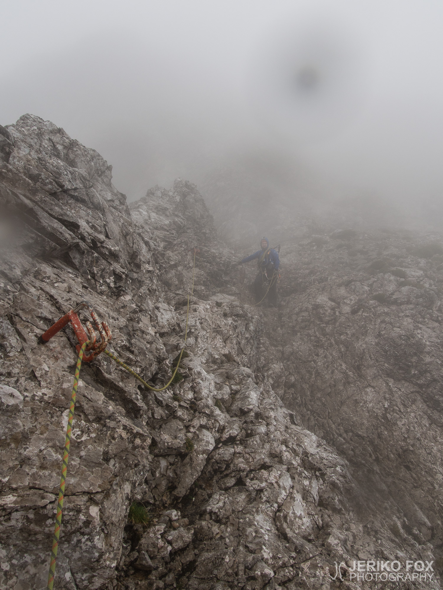 JFRM-2015-08-0186