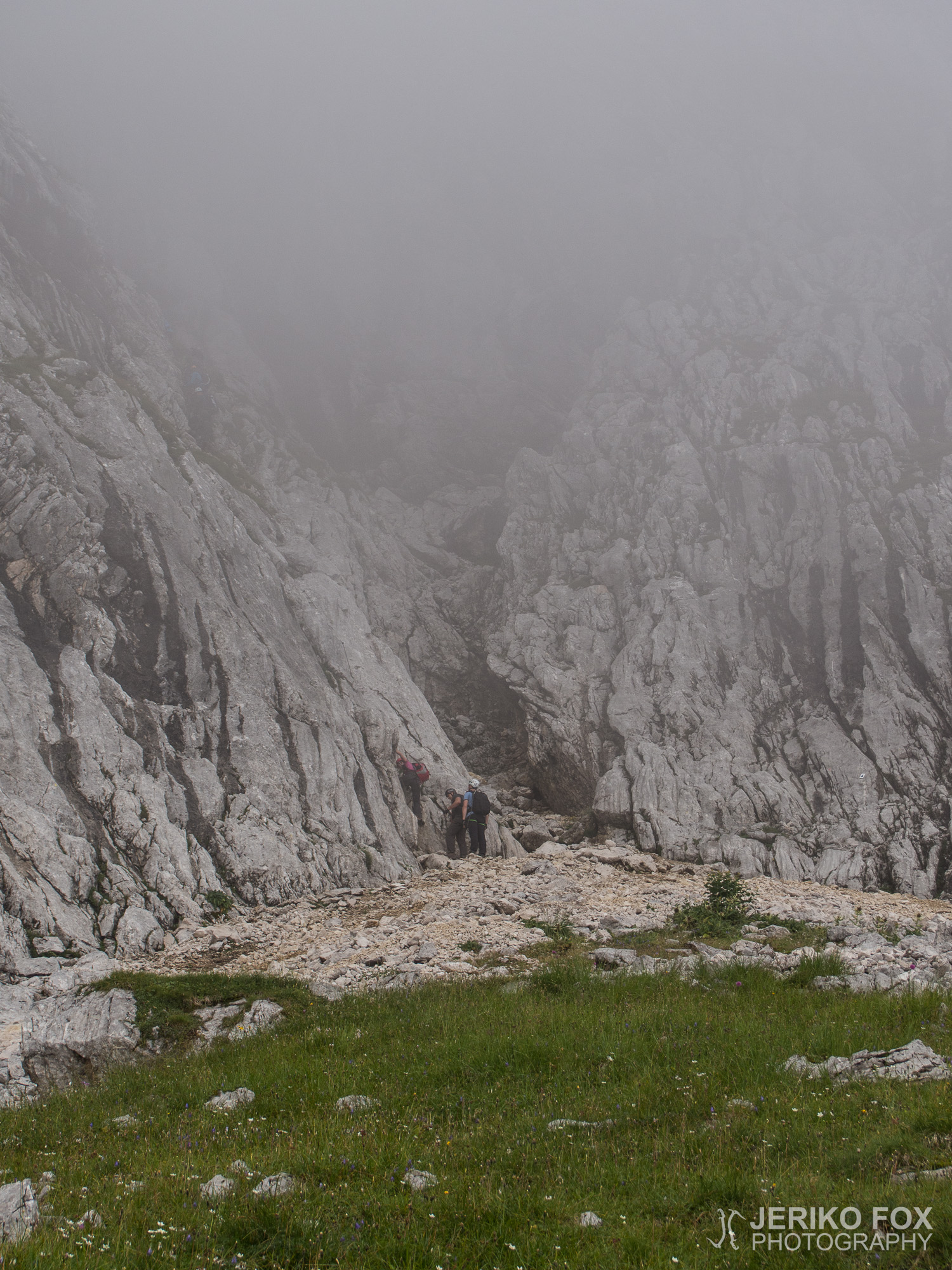 JFRM-2015-08-0220