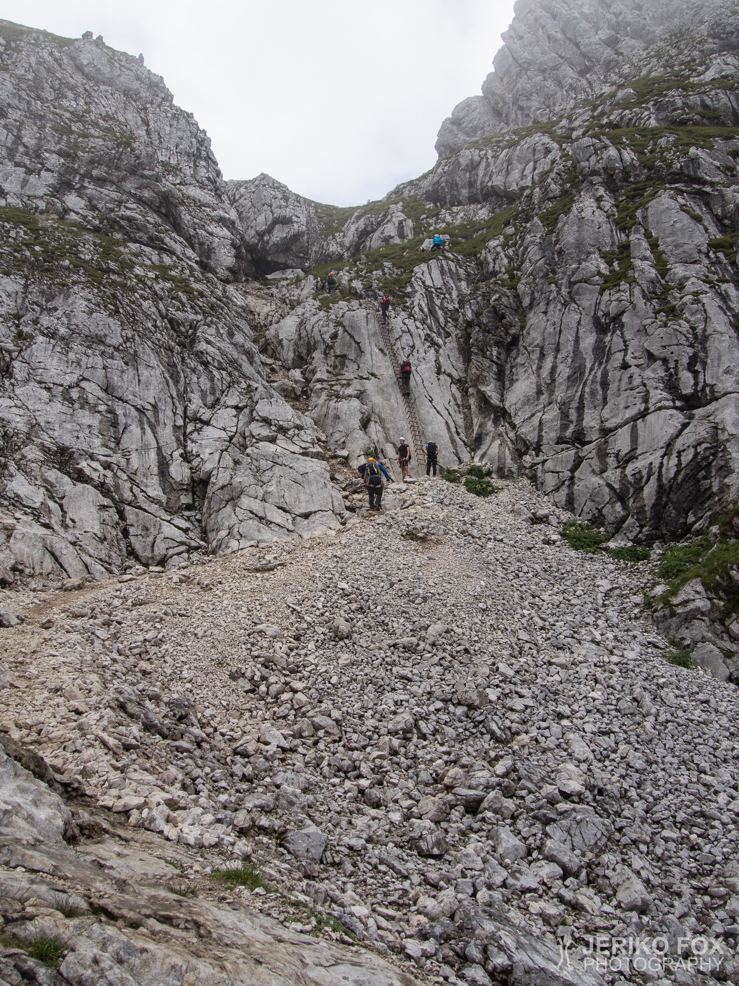 JFRM-2015-08-0223