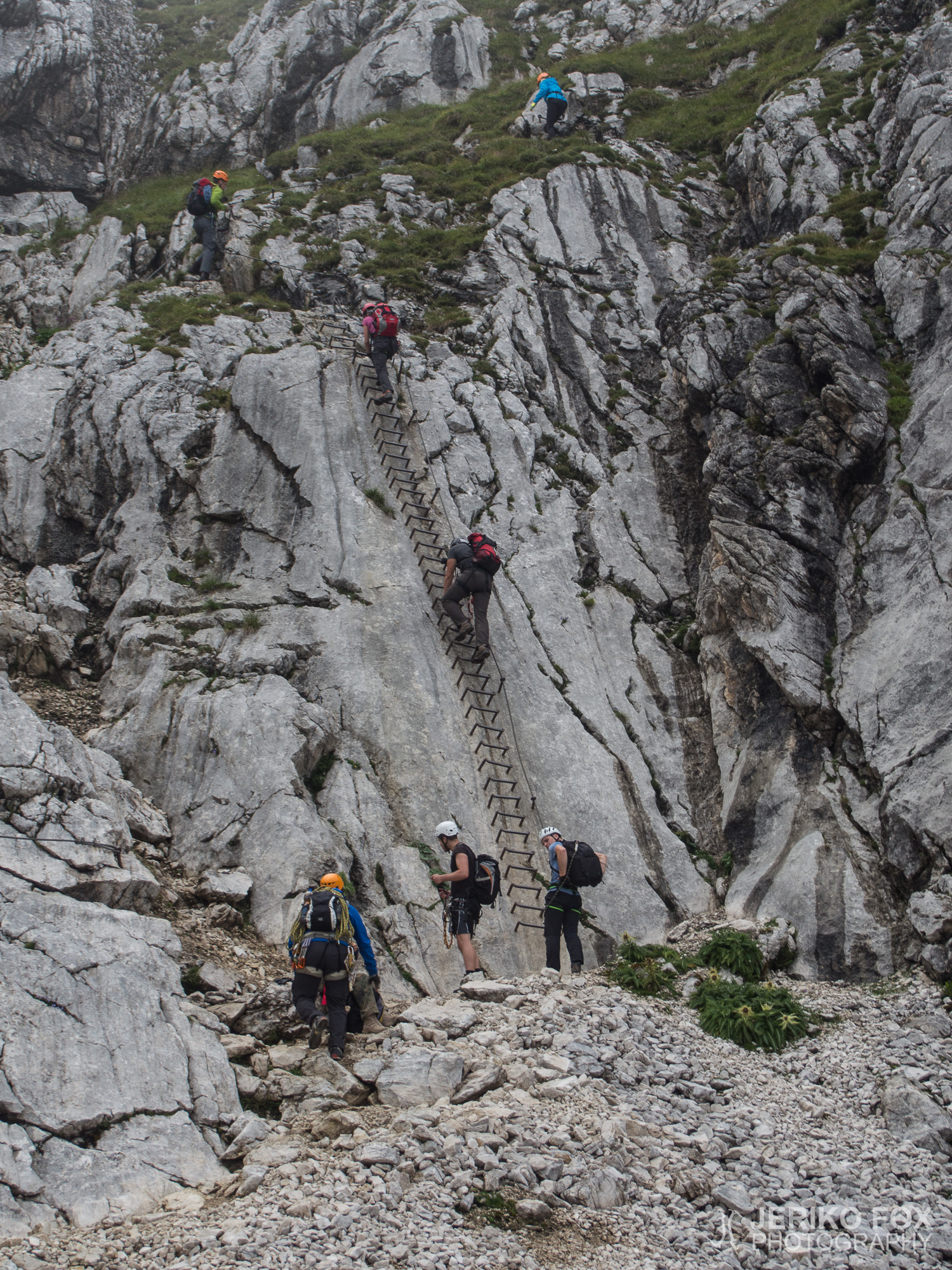 JFRM-2015-08-0224