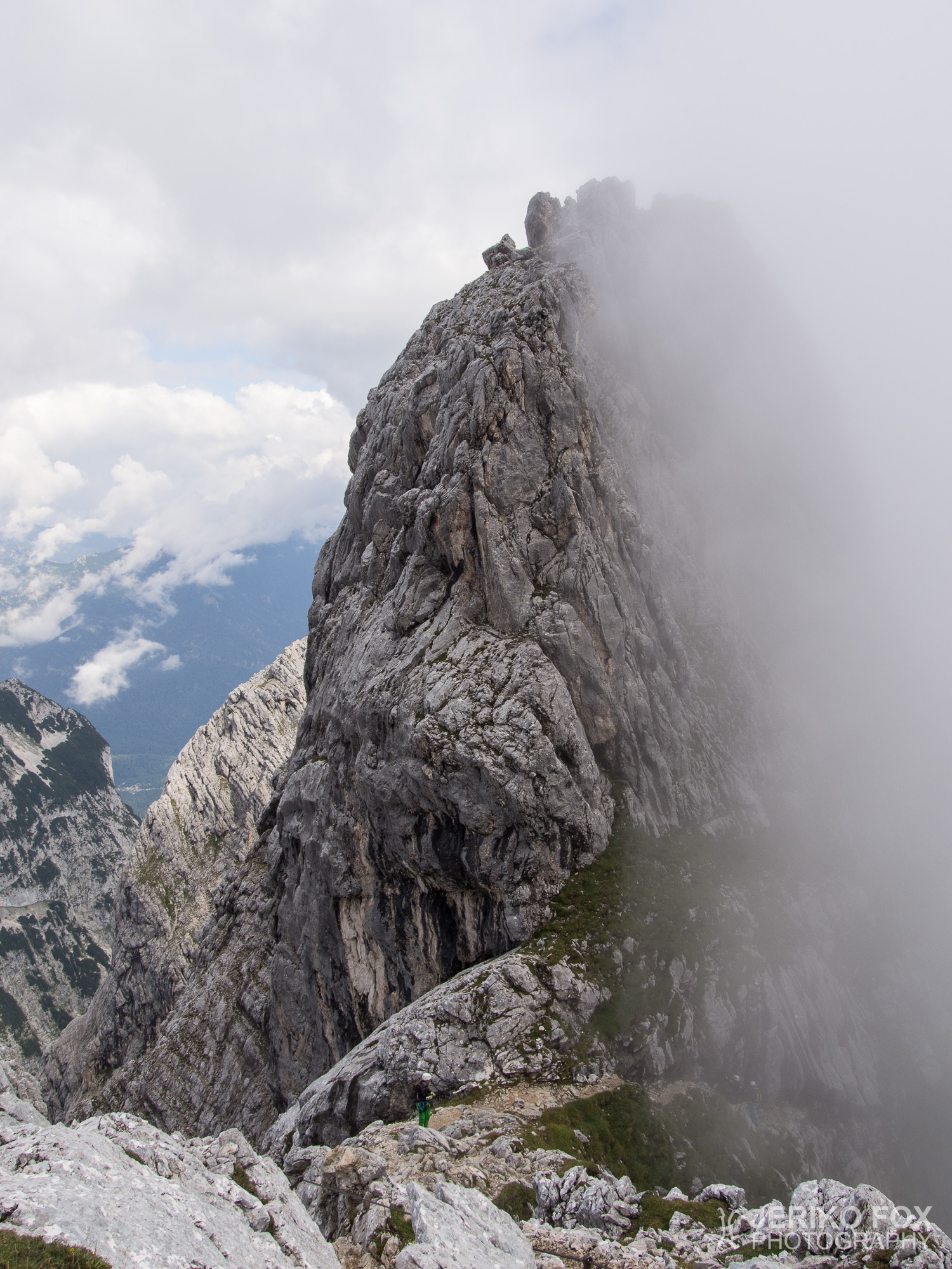 JFRM-2015-08-0230