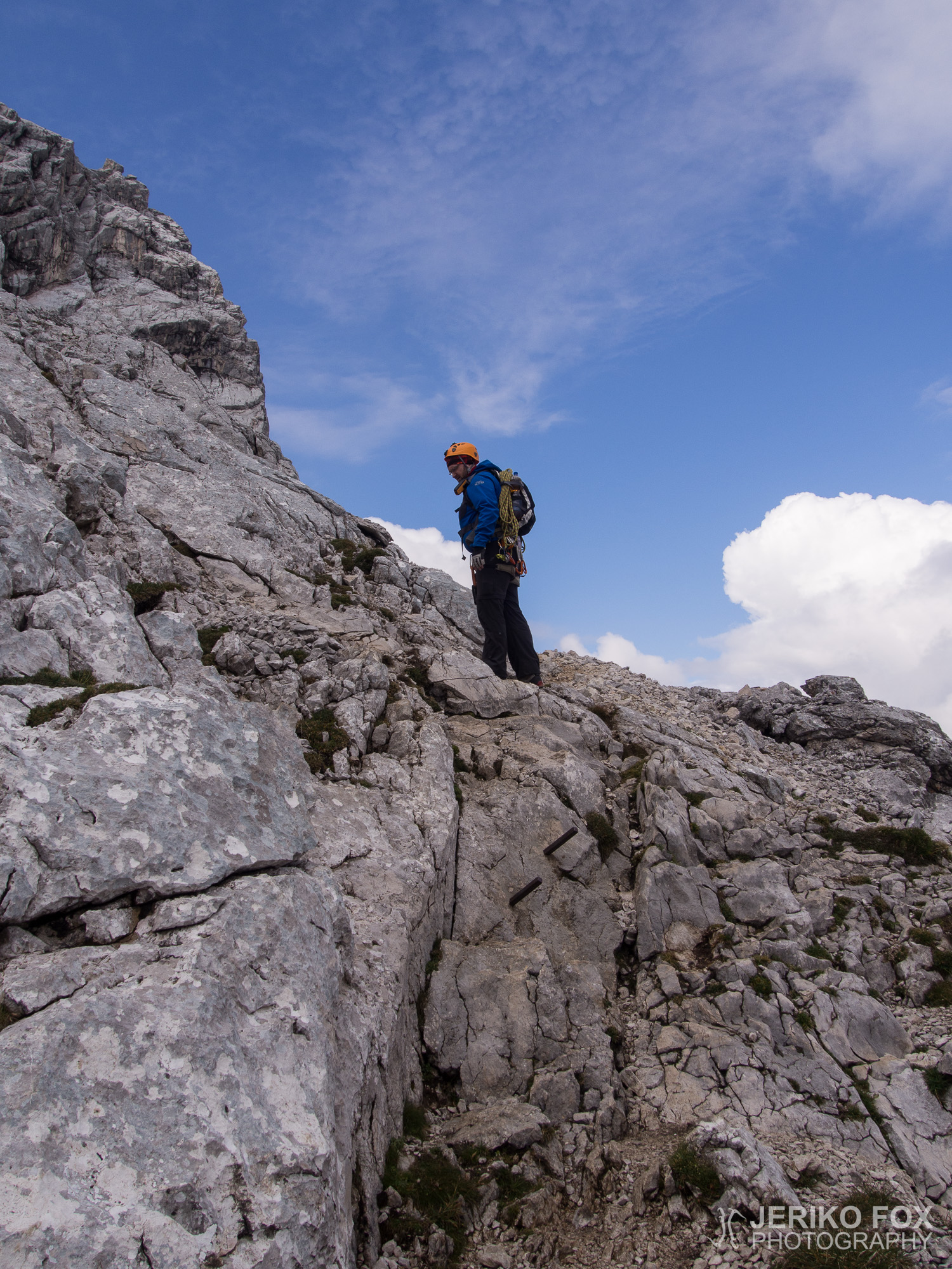 JFRM-2015-08-0231
