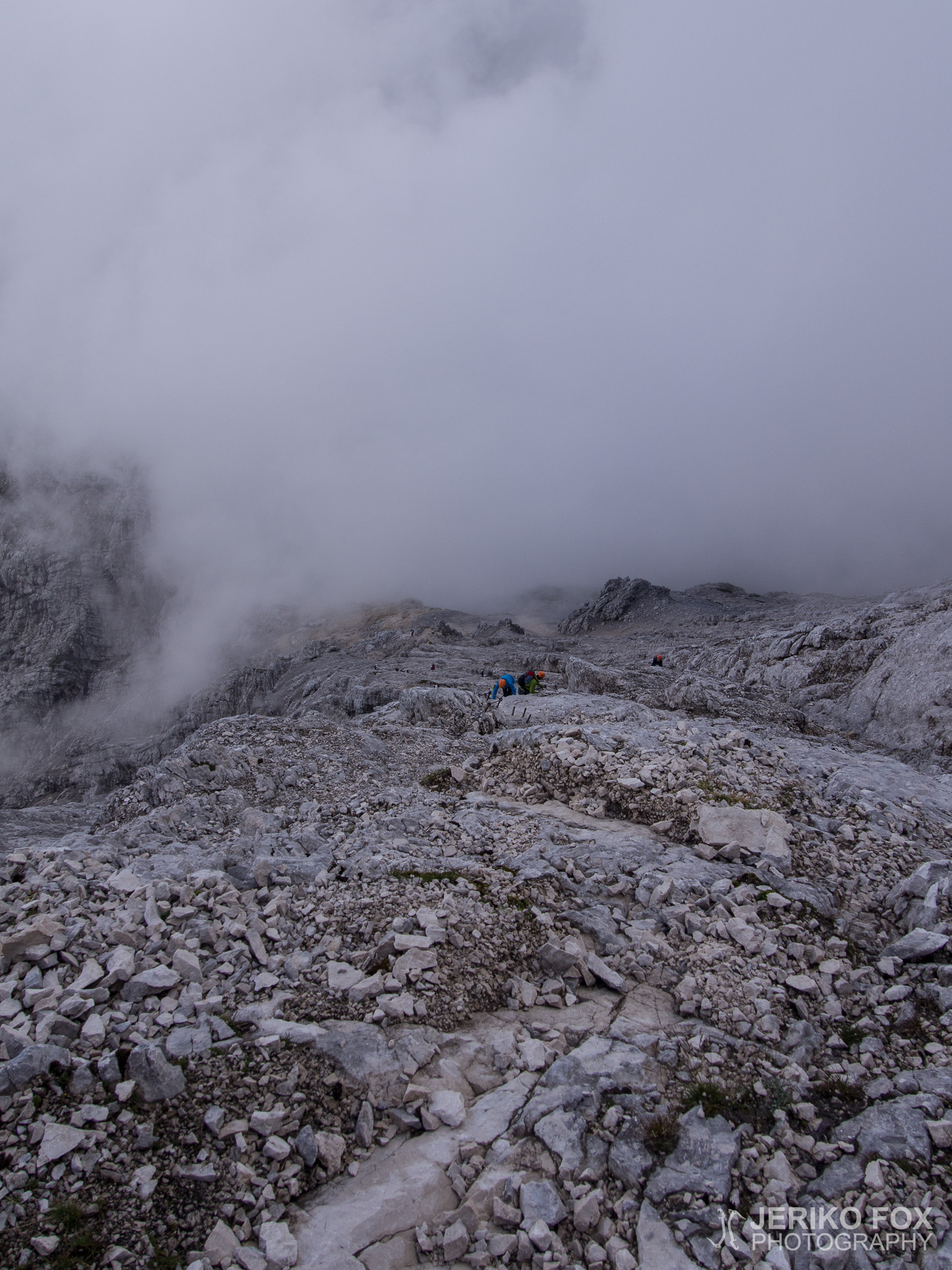 JFRM-2015-08-0239