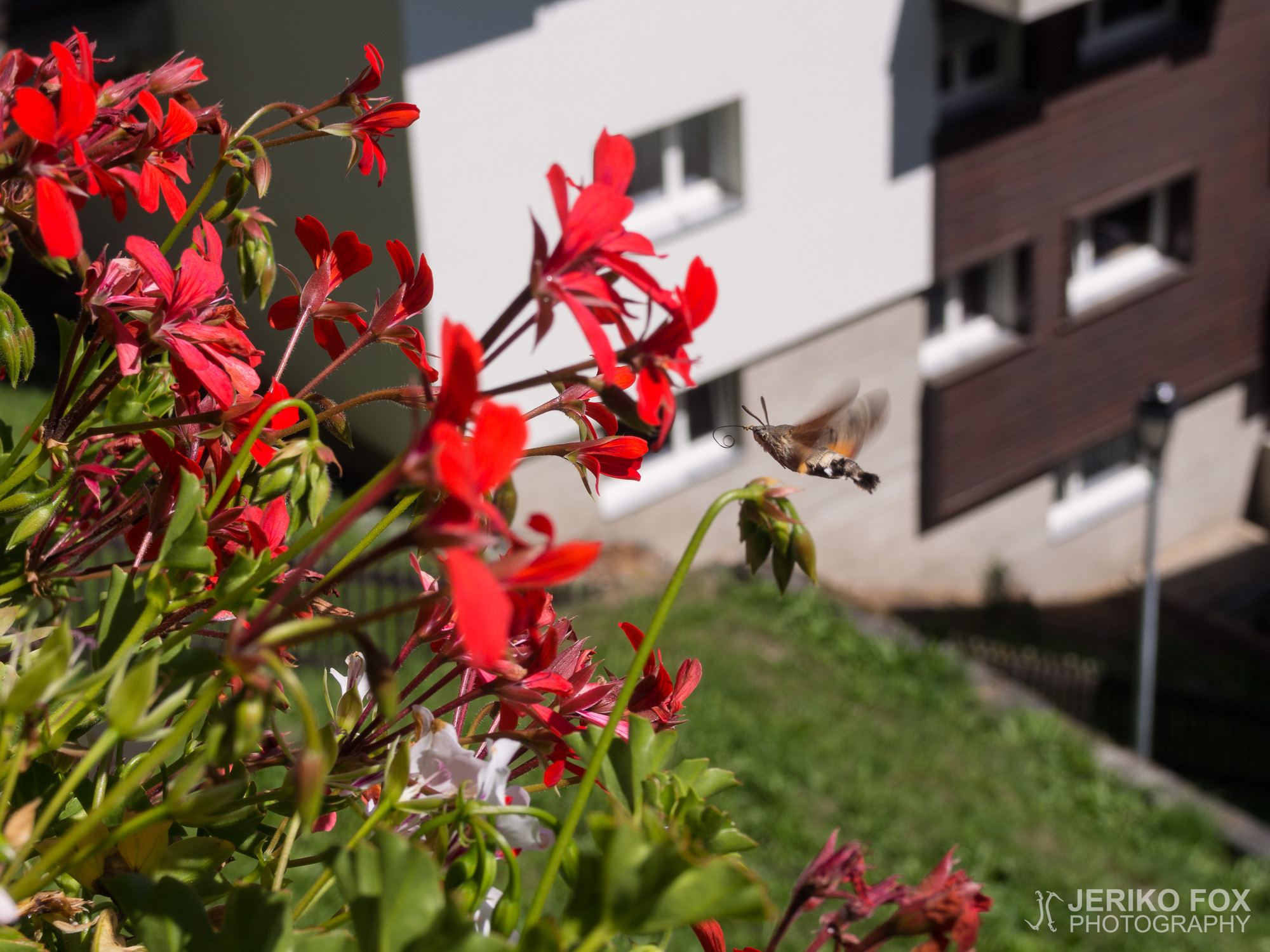 JFRM-2015-08-0480
