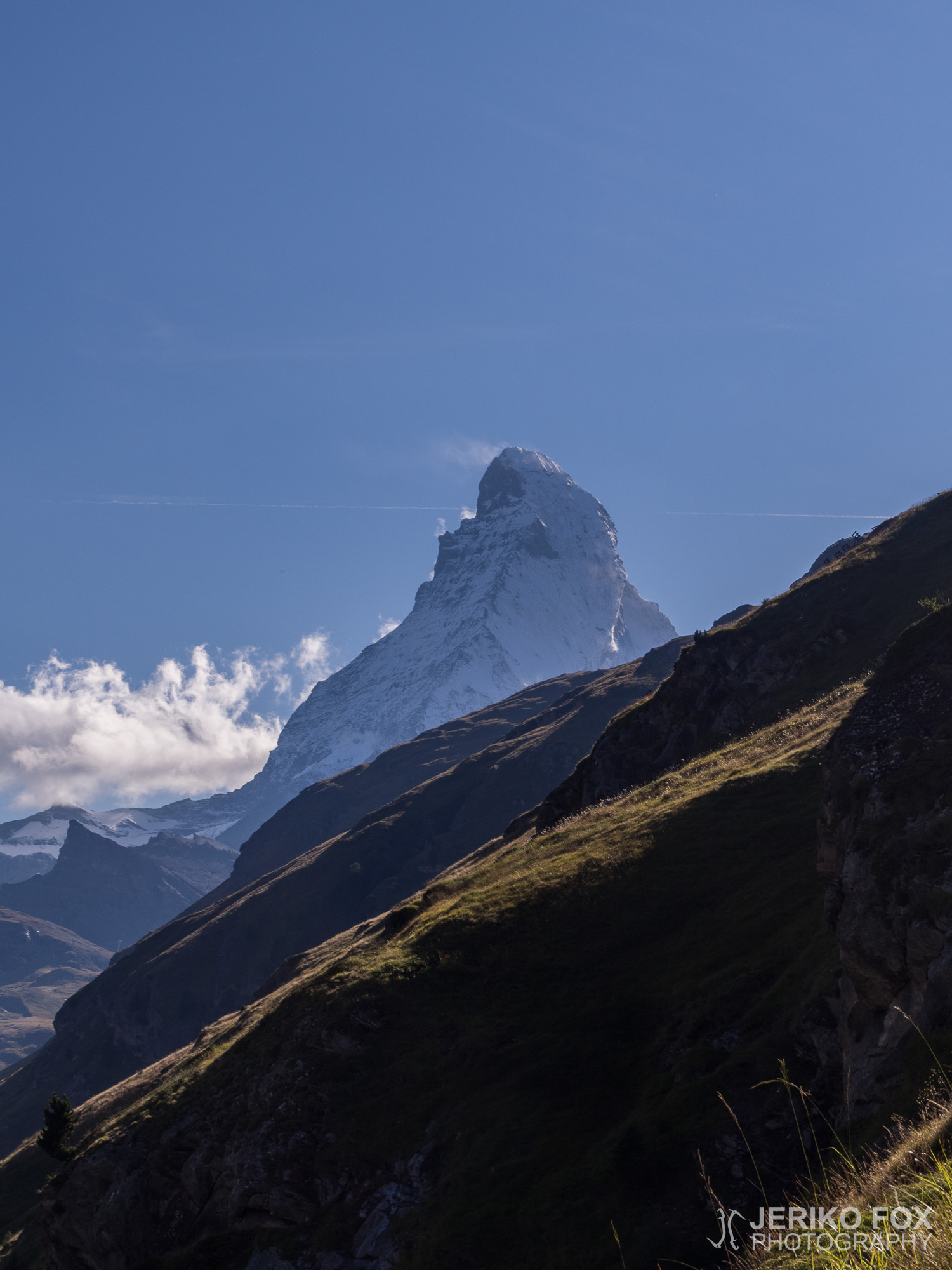 JFRM-2015-08-0558