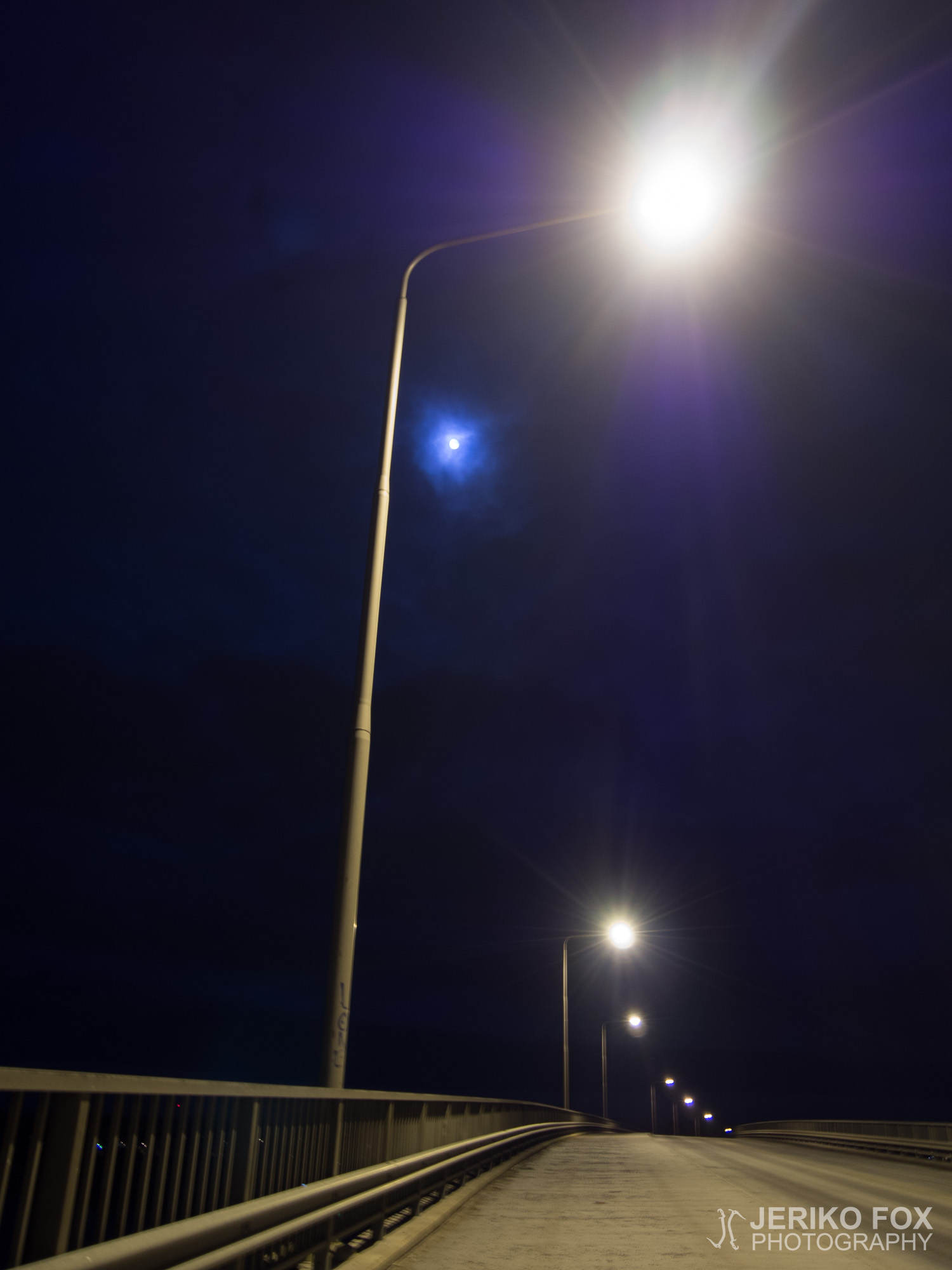 JFRM-2015-12-1954