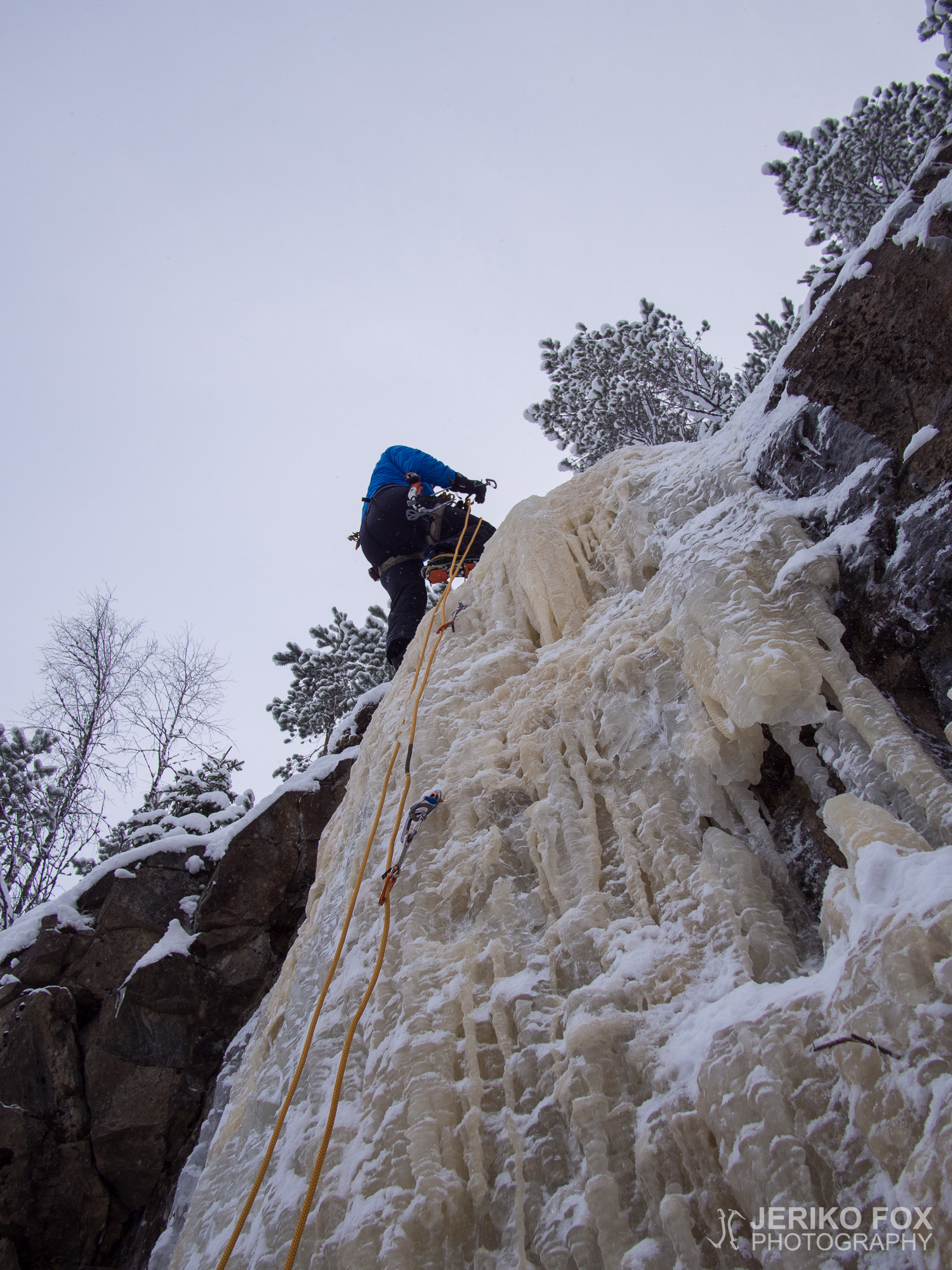 JFRM-2016-01-2222
