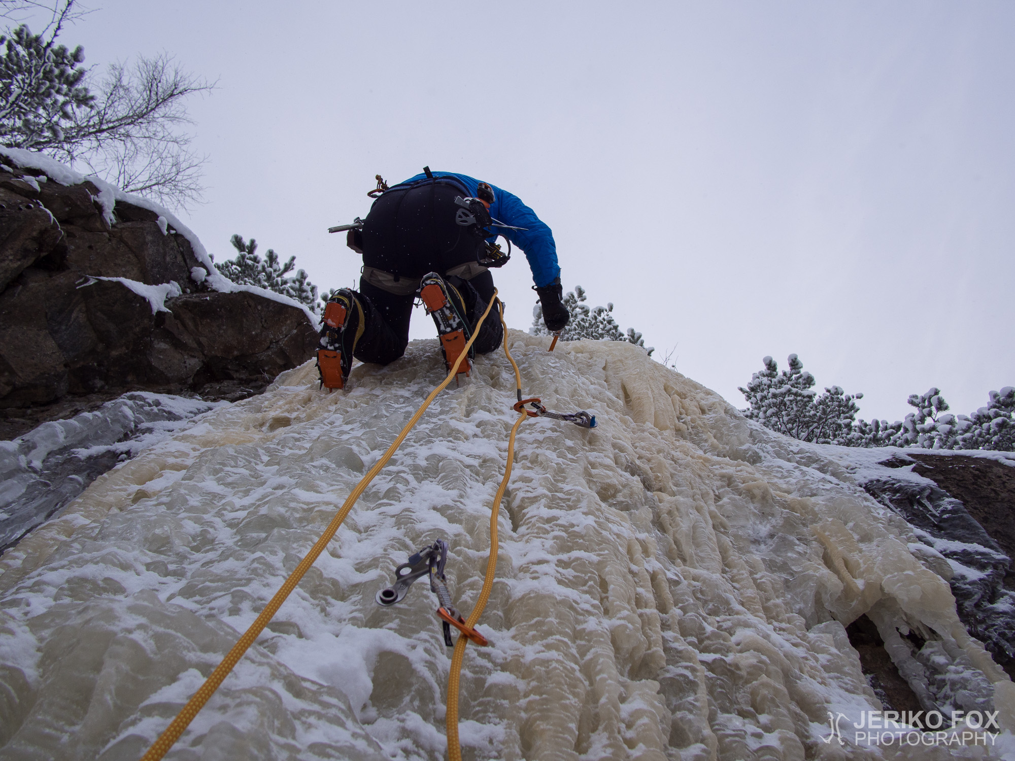 JFRM-2016-01-2228