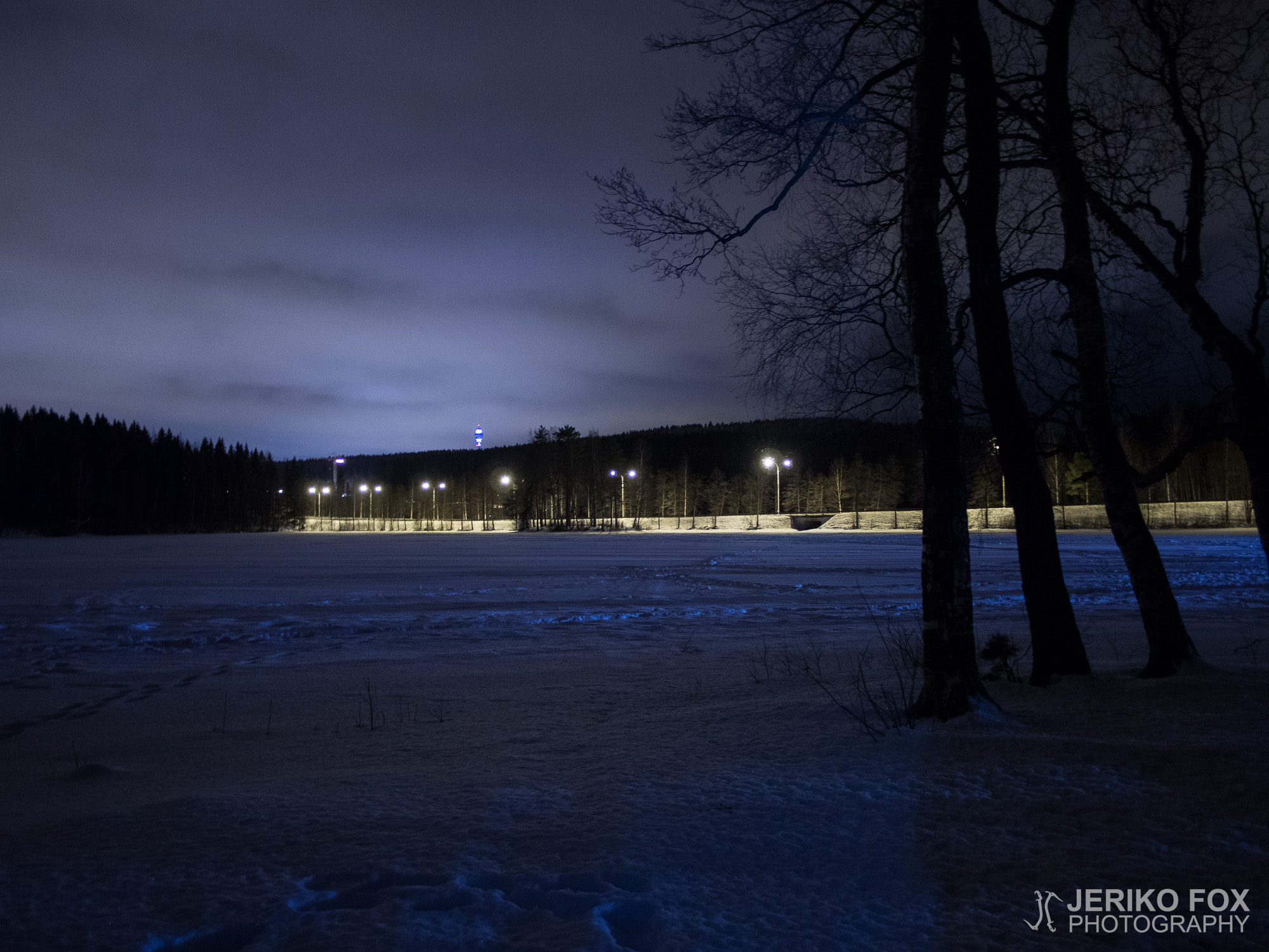 JFRM-2016-02-2399