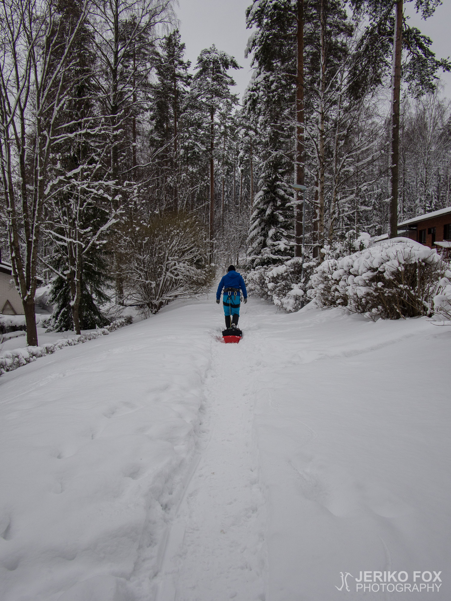 JFRM-2016-02-2540