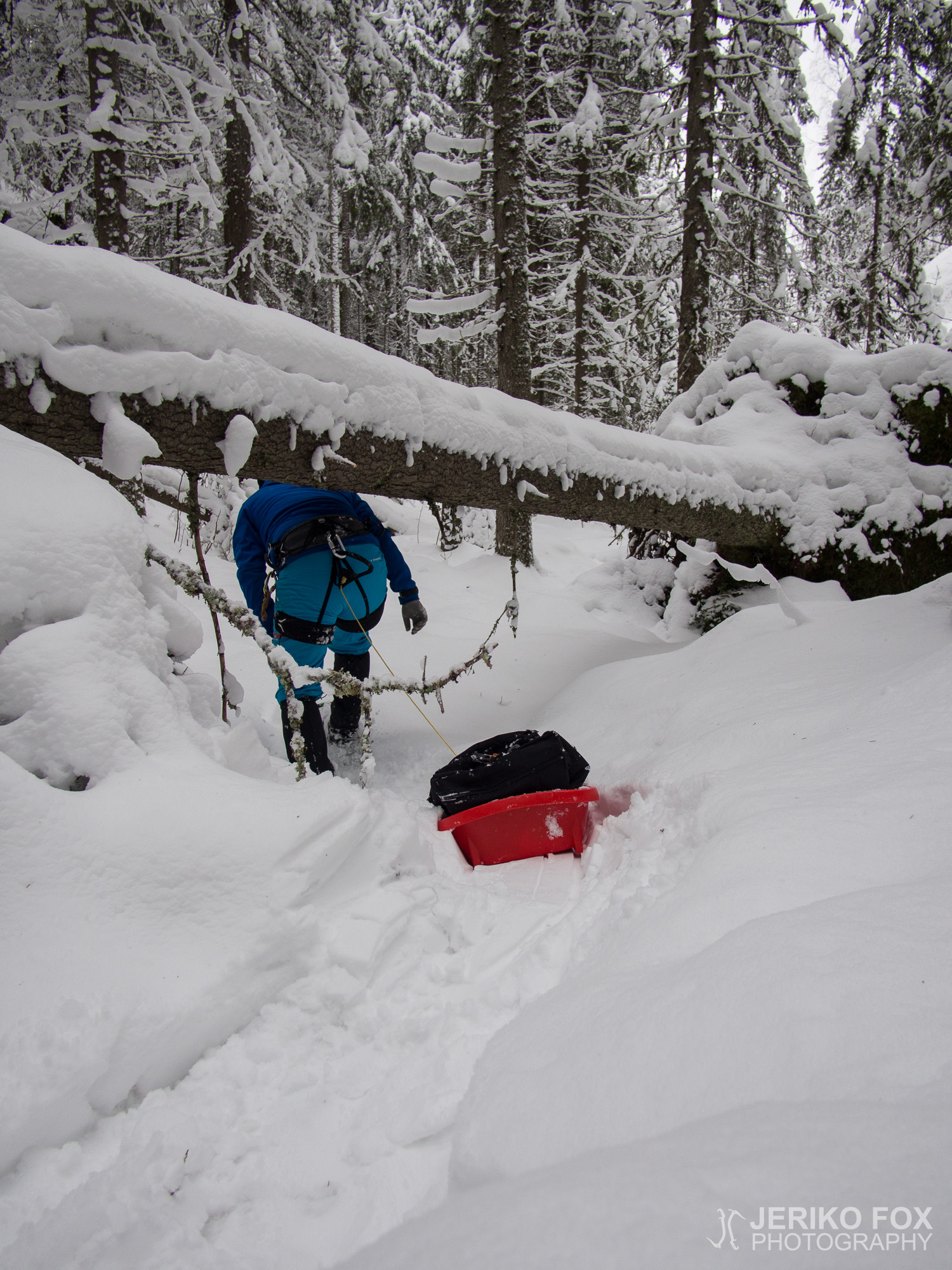 JFRM-2016-02-2546