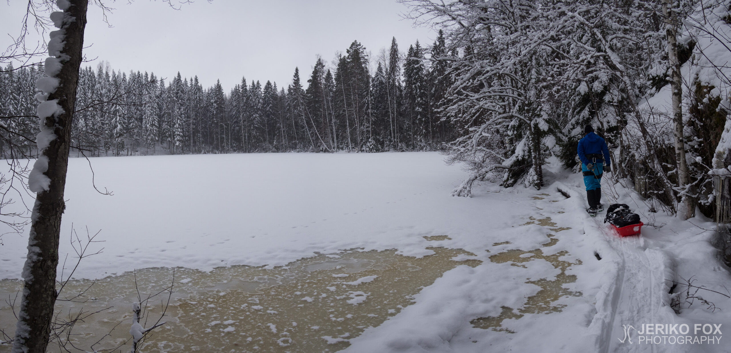 JFRM-2016-02-2552-Pano