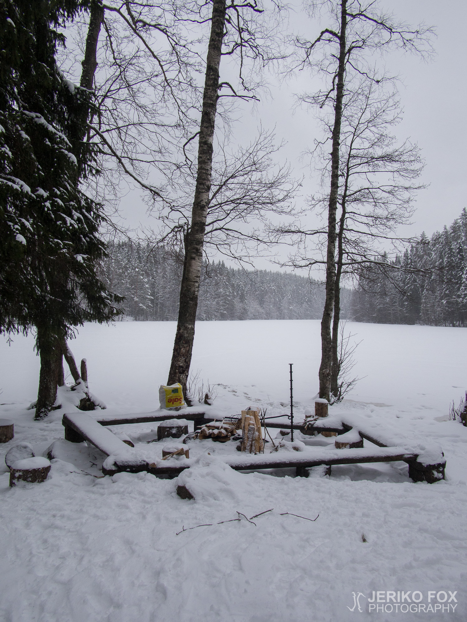 JFRM-2016-02-2559