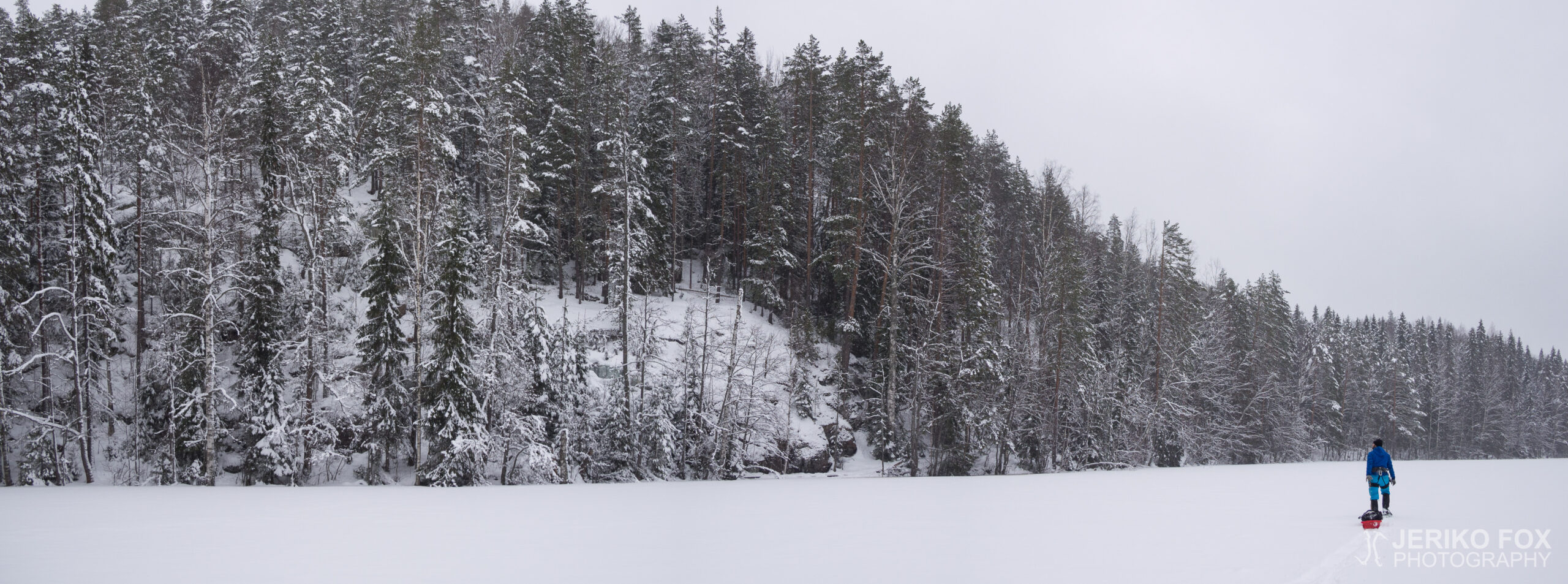 JFRM-2016-02-2570-Pano