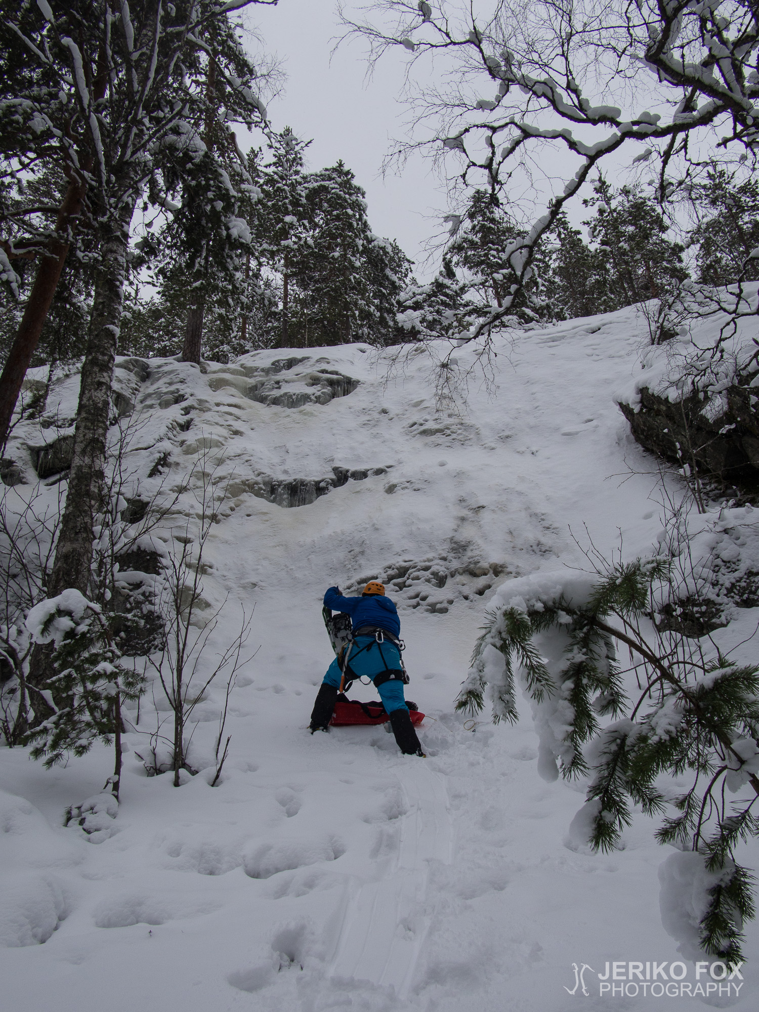 JFRM-2016-02-2574