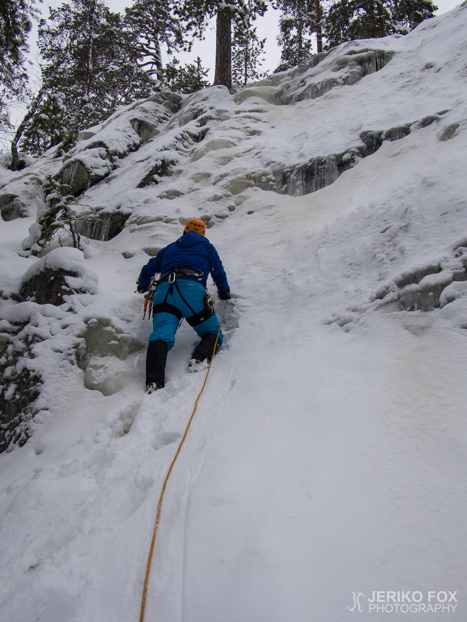 JFRM-2016-02-2578