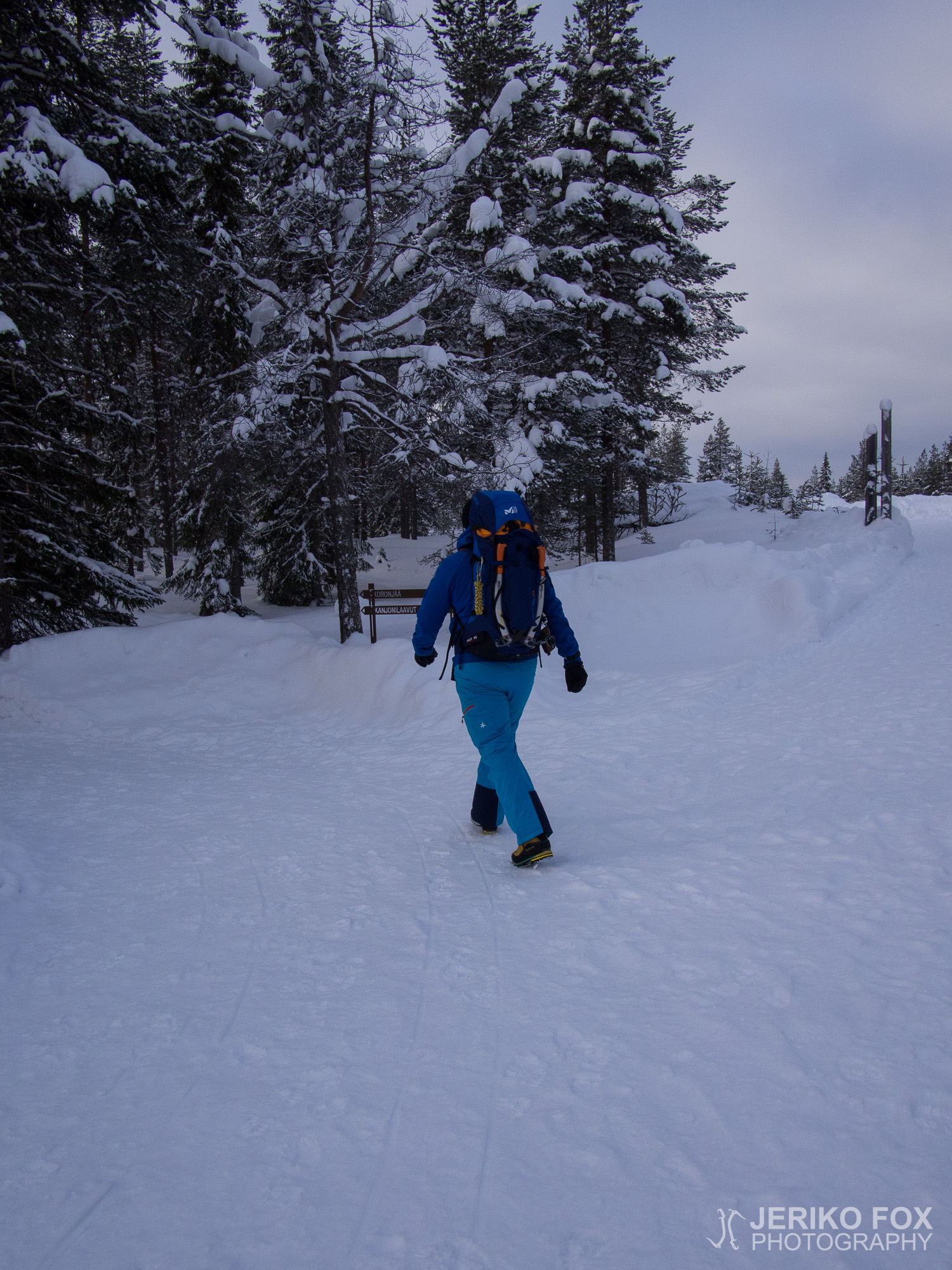 JFRM-2016-02-2875