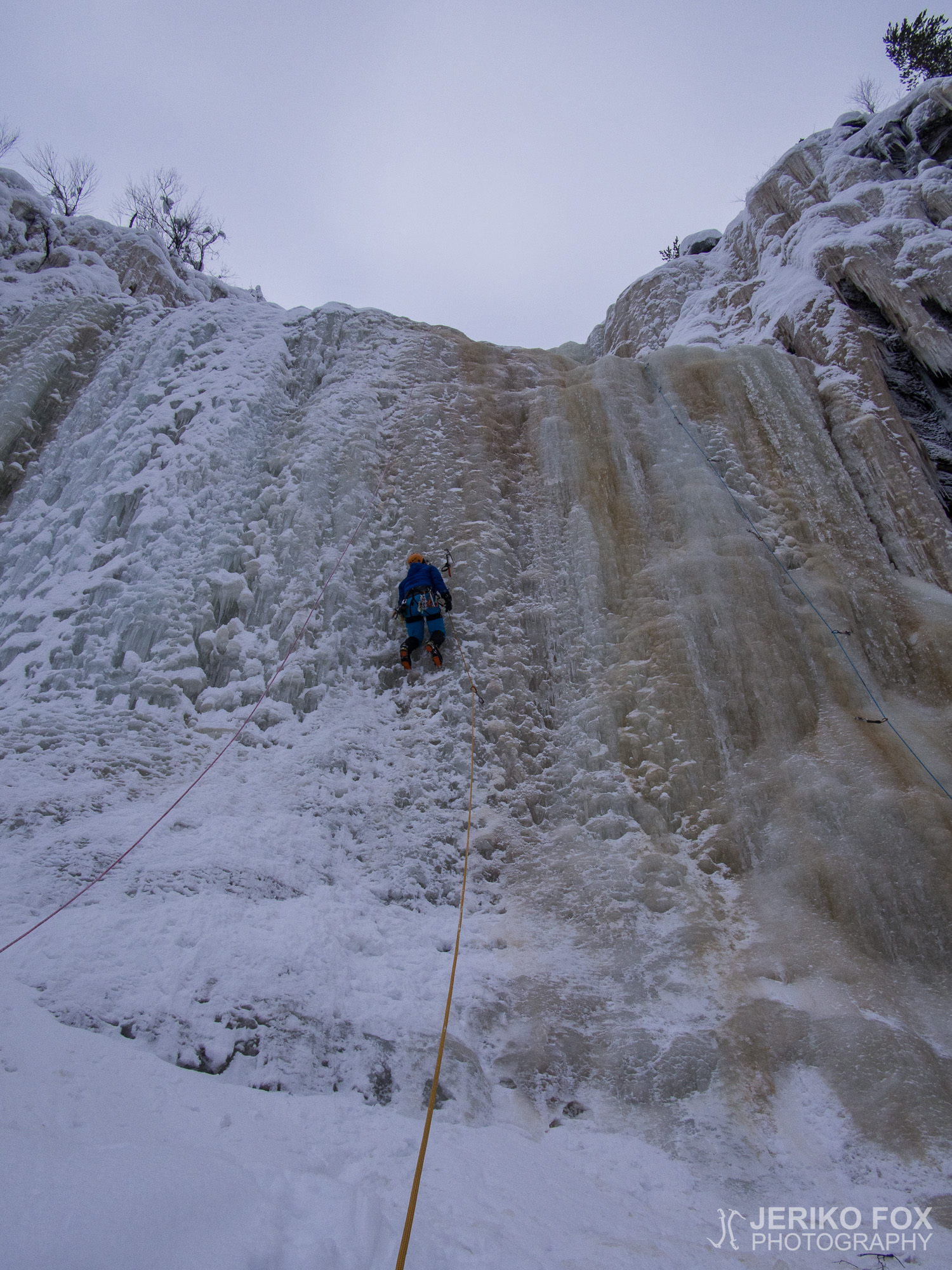 JFRM-2016-02-2904