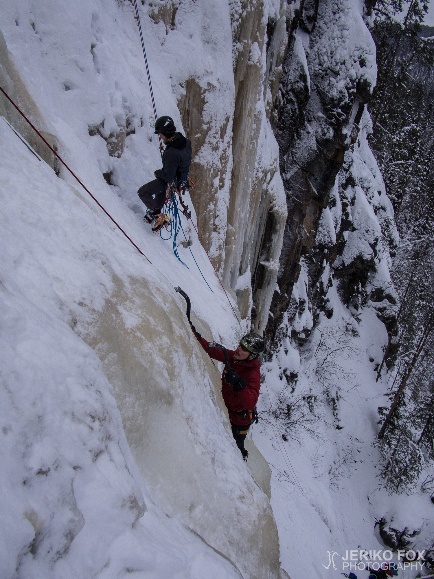 JFRM-2016-02-2919