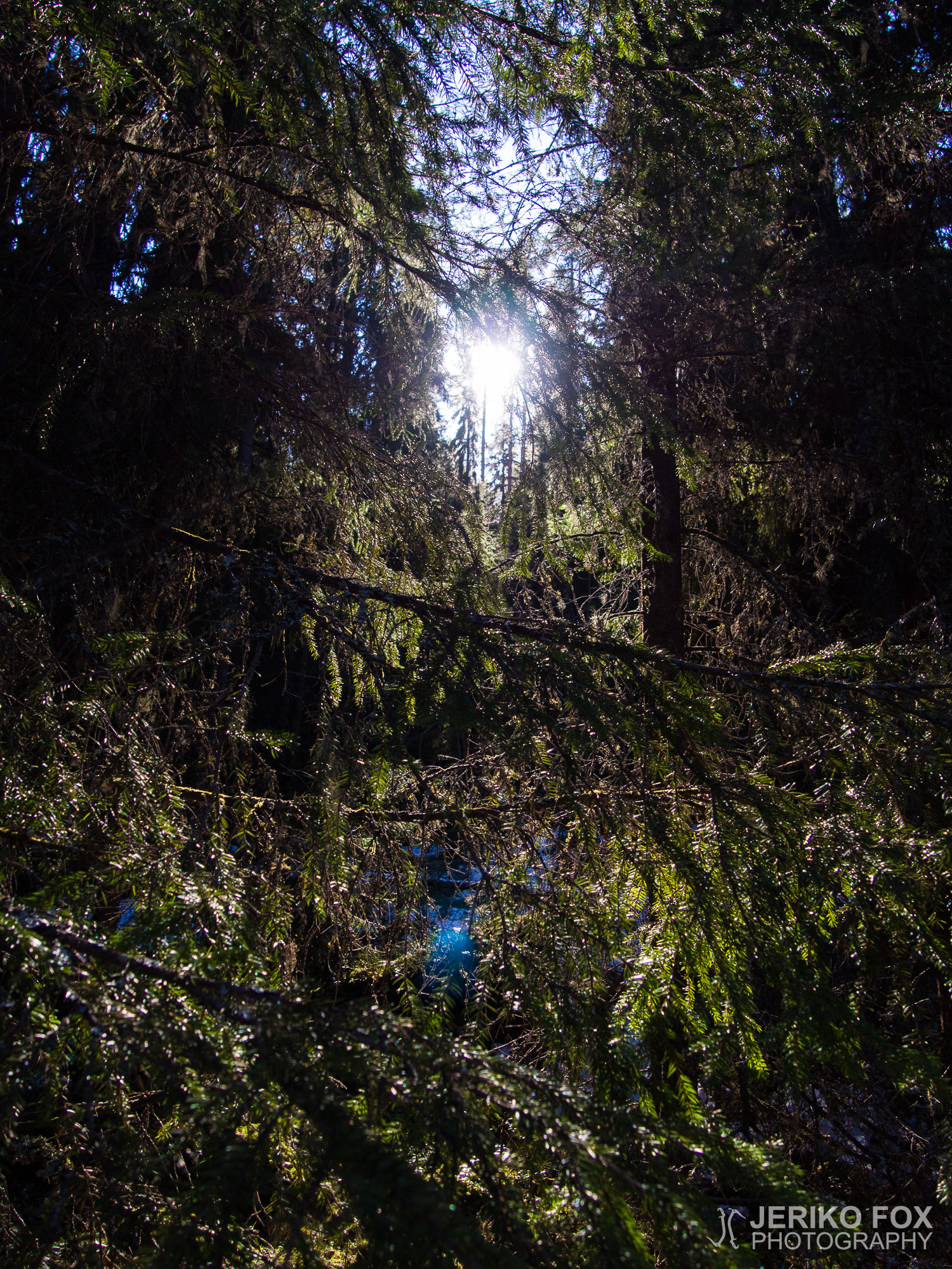 JFRM-2016-04-3585