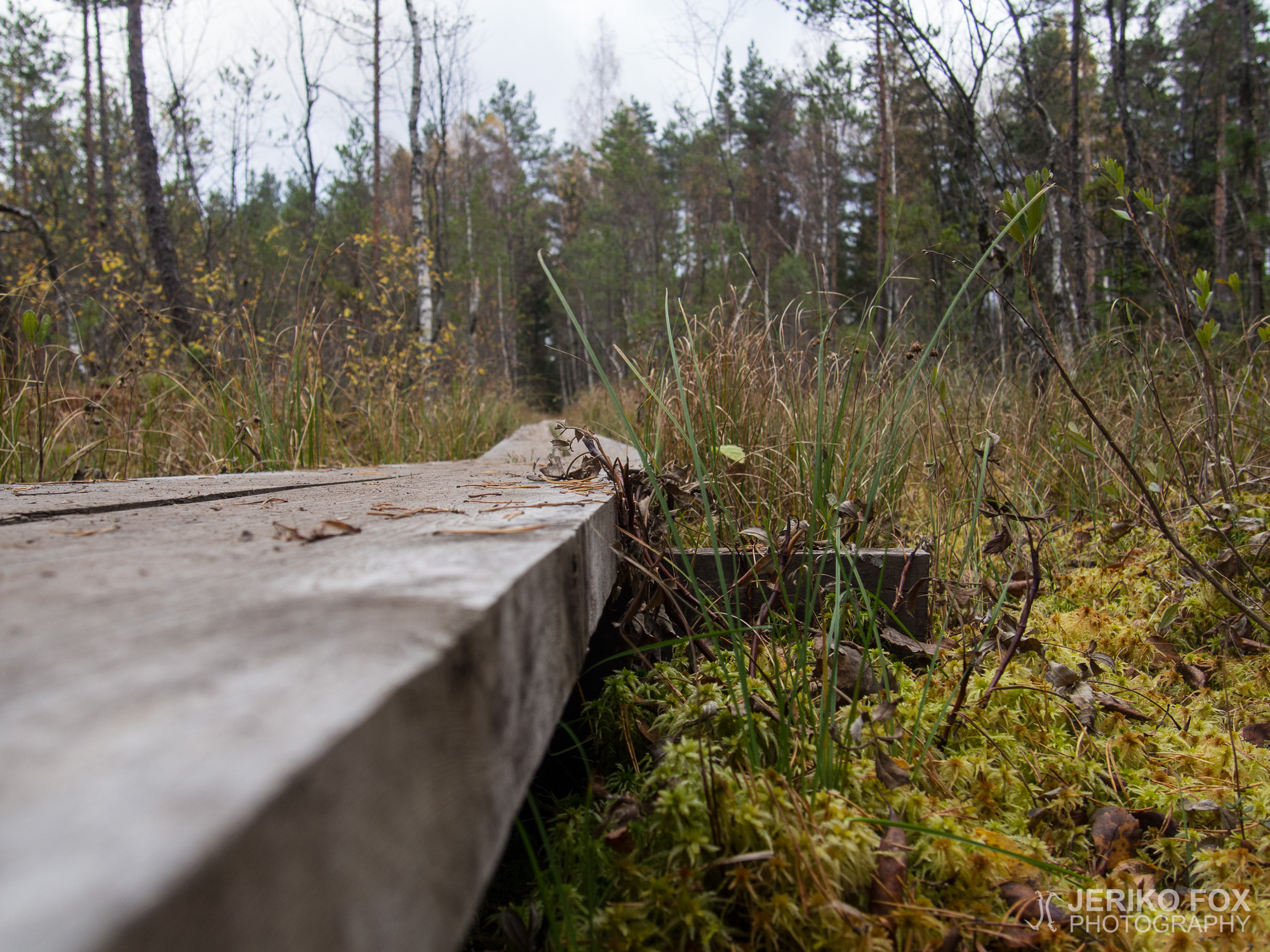 JFRM-2016-10-5516