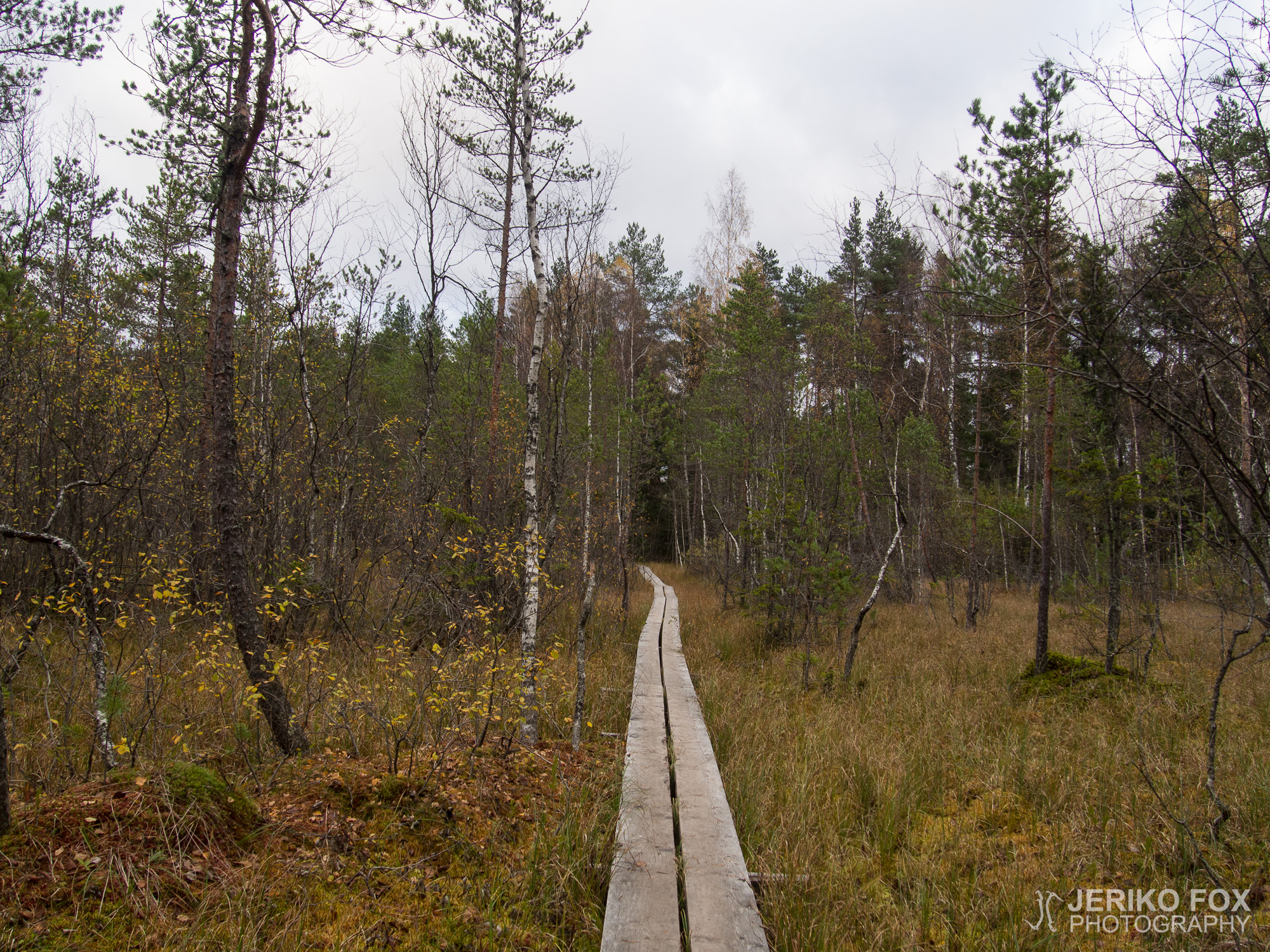 JFRM-2016-10-5519