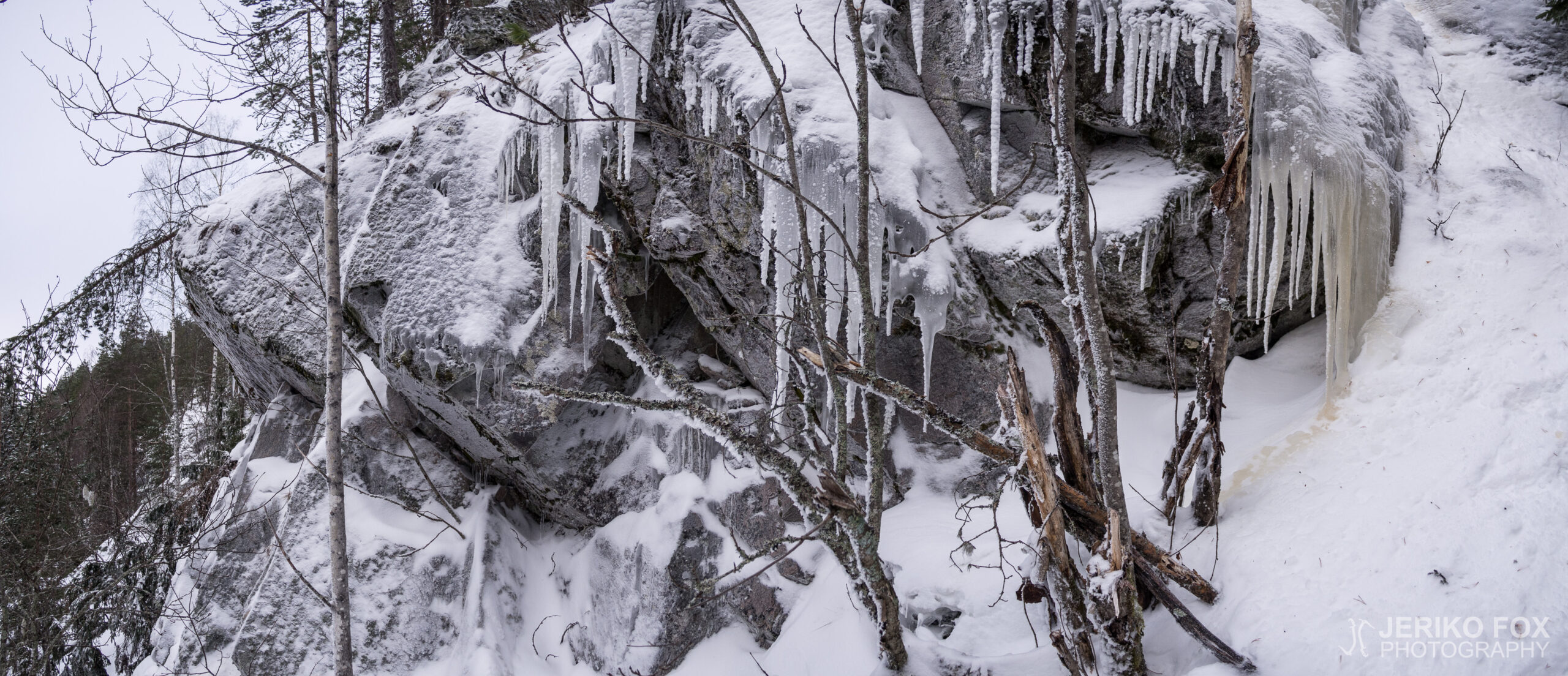 JFRM-2017-01-0048-Pano