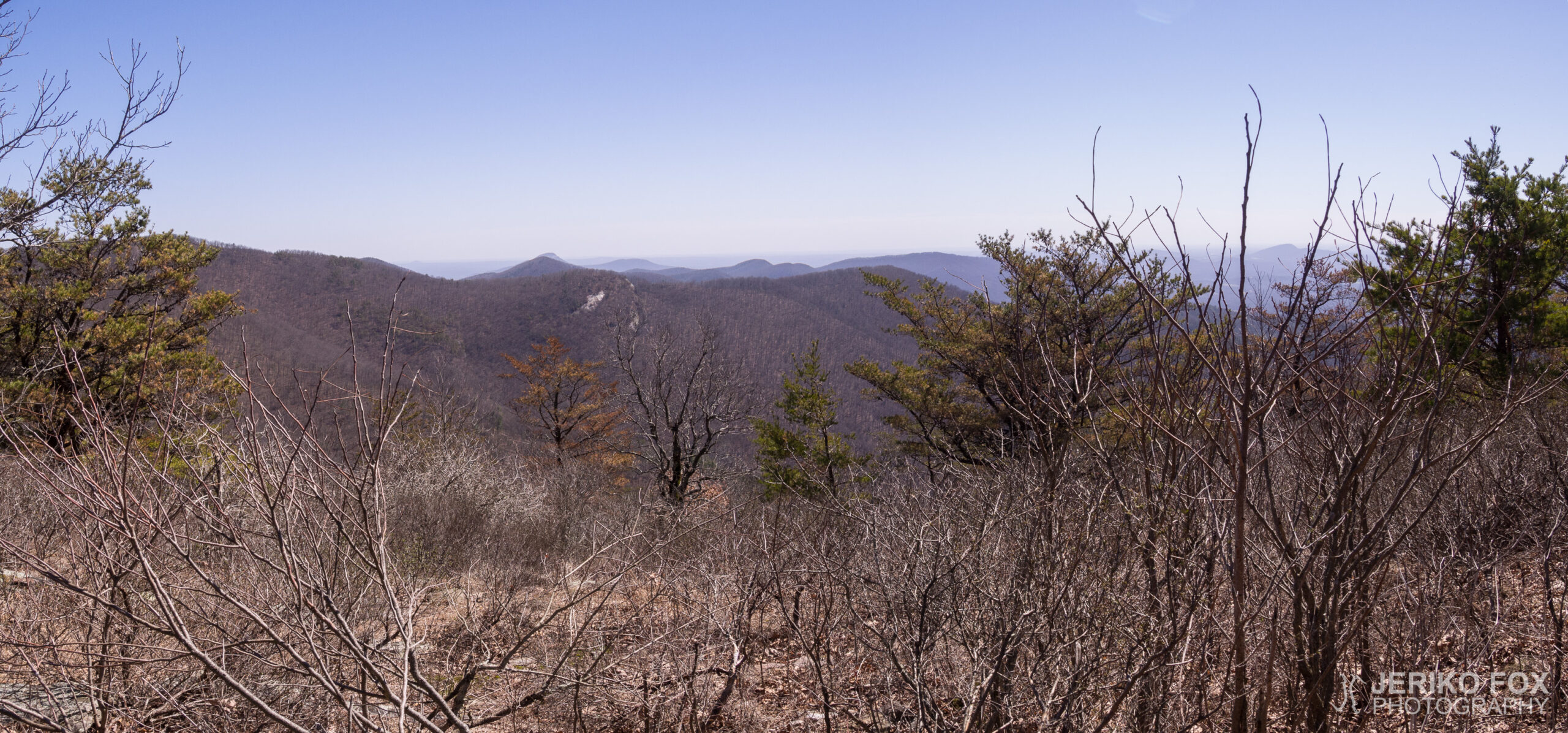 JFRM-2017-03-6392-Pano