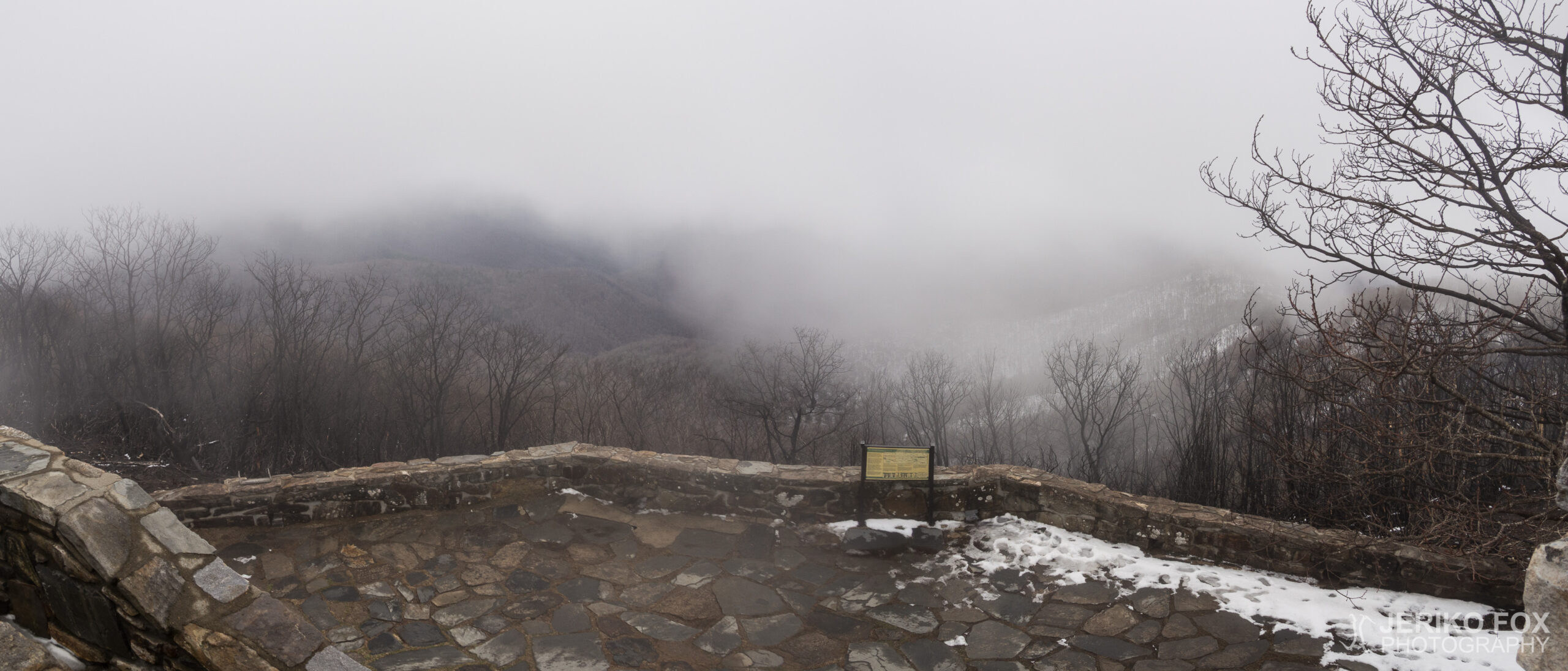 JFRM-2017-03-6586-Pano