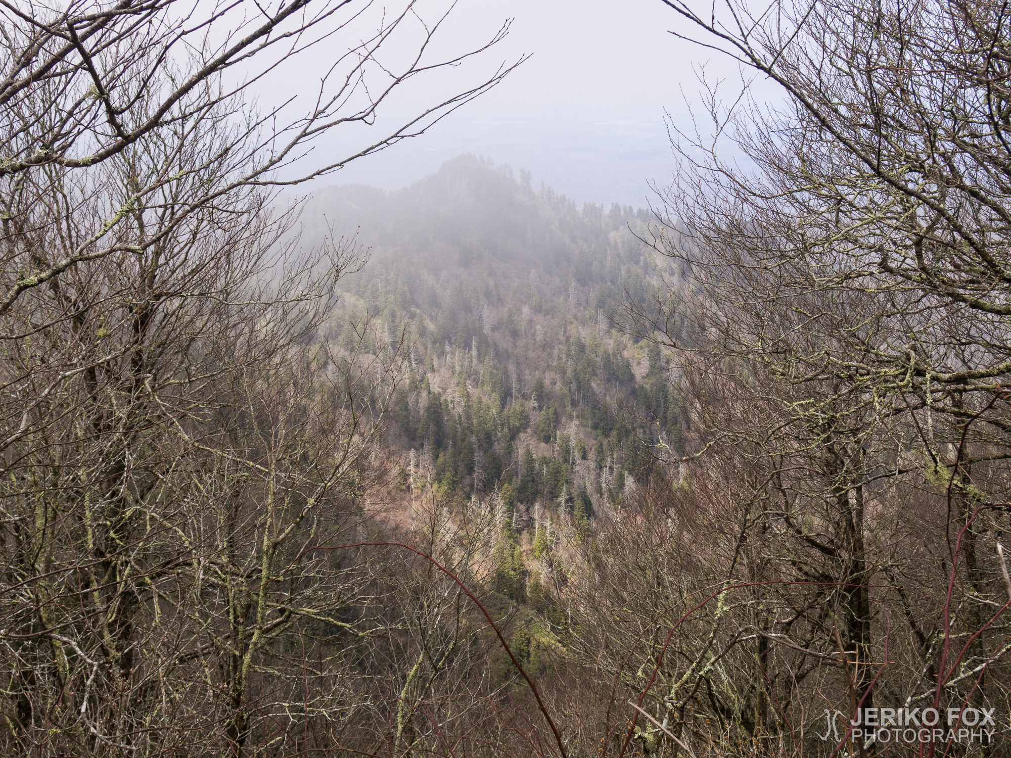 JFRM-2017-04-6816